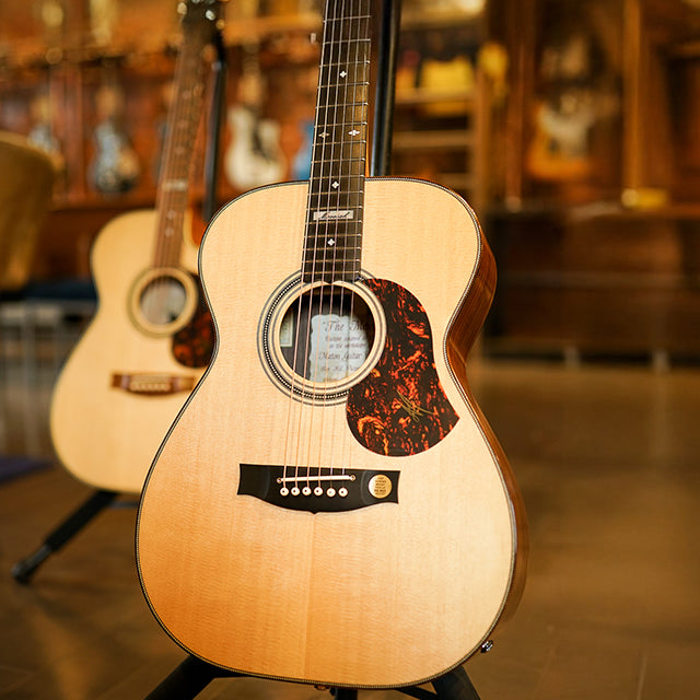 Maton Guitars: A Legacy of Innovation, A Future of Sound