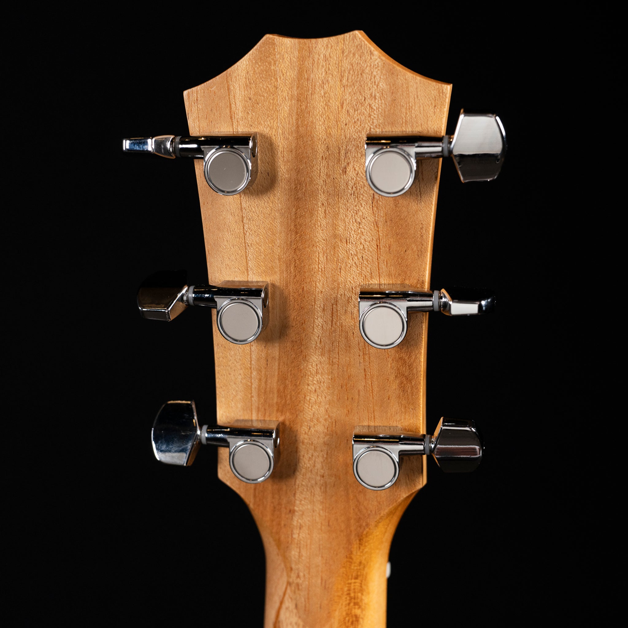 Taylor 214ce Special Edition Acoustic/Electric Guitar - Honeyburst - Midwood Guitar