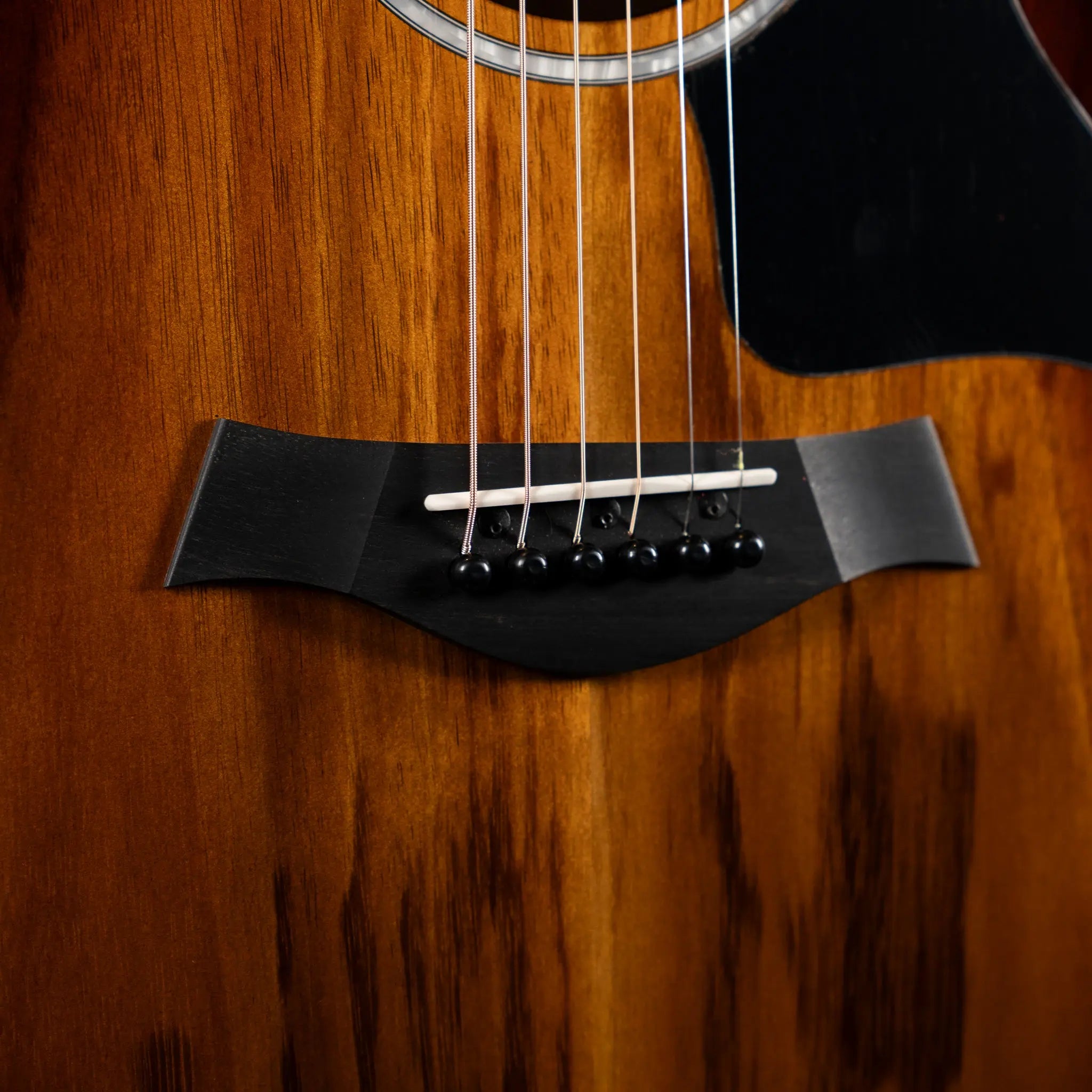 Taylor 224ce-K DLX Acoustic Guitar - Shaded Edge Burst - Midwood Guitar