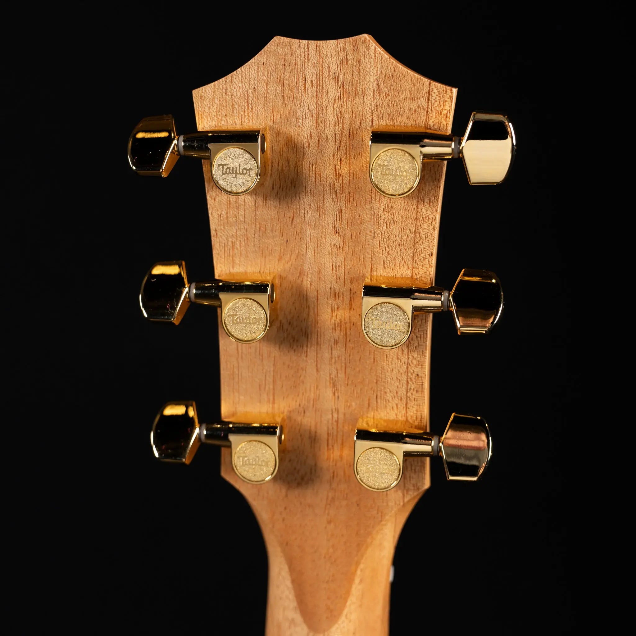 Taylor 224ce-K DLX Acoustic Guitar - Shaded Edge Burst - Midwood Guitar