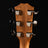 Taylor 414ce Studio Special Edition Acoustic/Electric Guitar – Honeyburst #6248 - Midwood Guitar