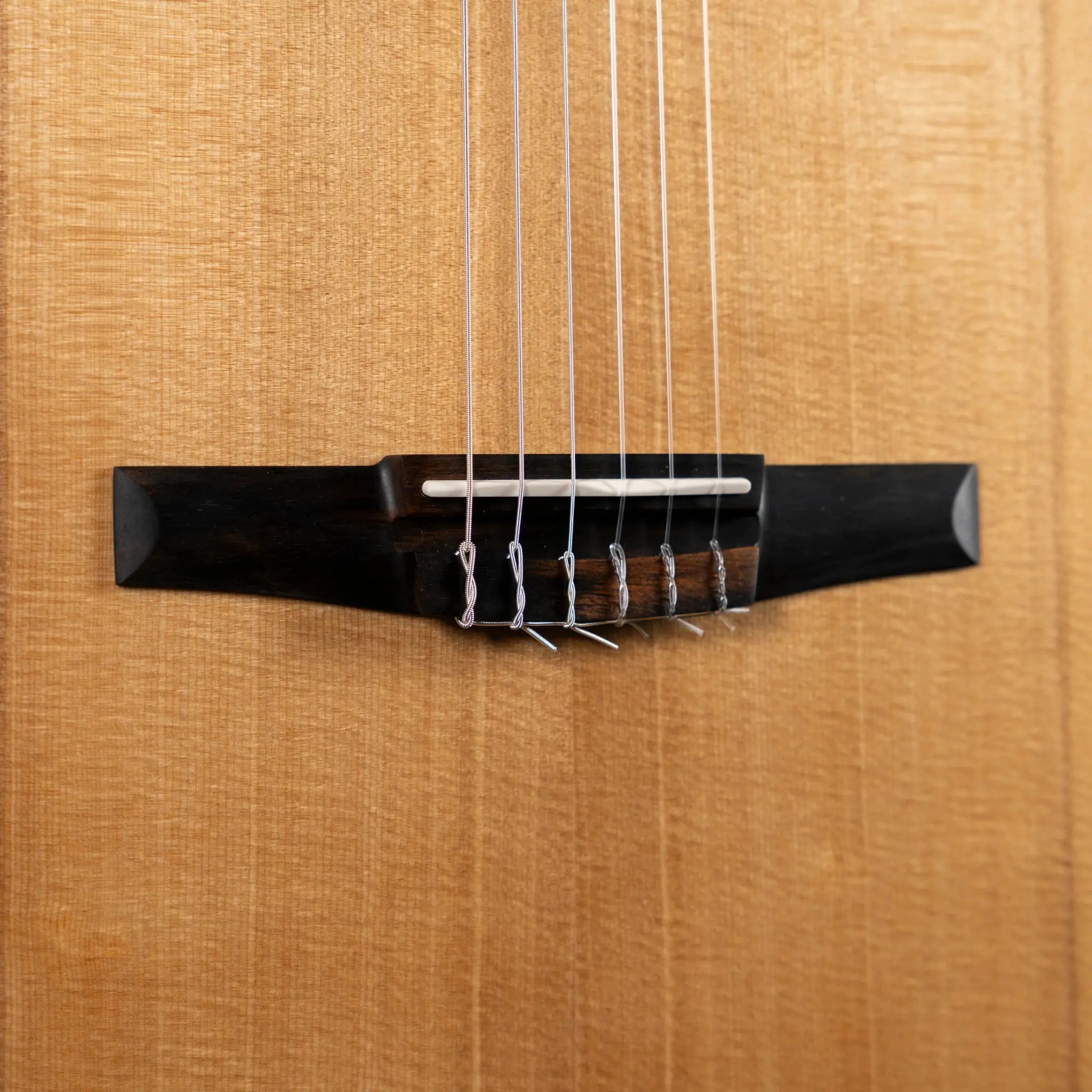 Taylor Academy 12e-N Acoustic Electric Guitar - Midwood Guitar