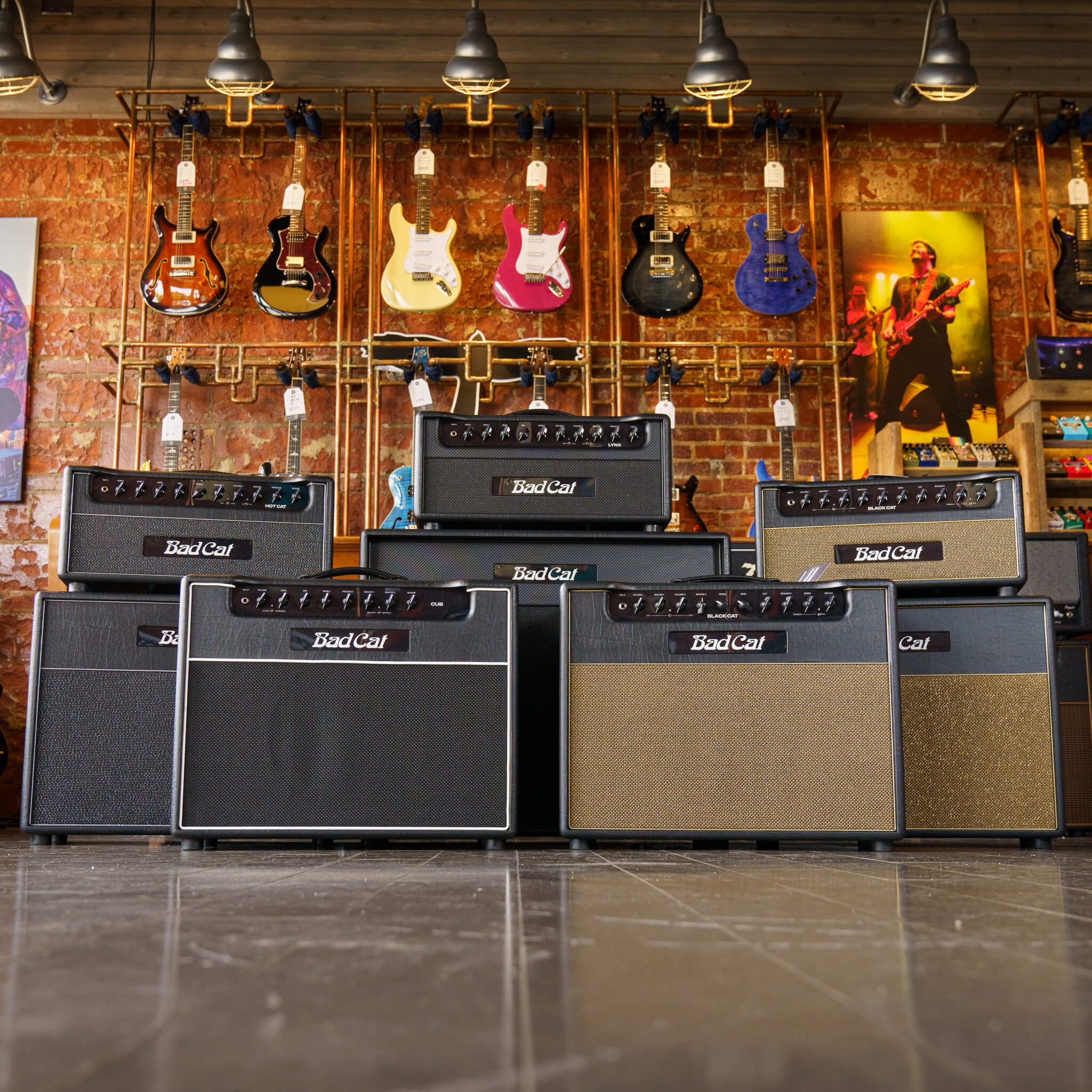 Collection of Bad Cat guitar amplifiers in a guitar shop located in Charlotte, NC.