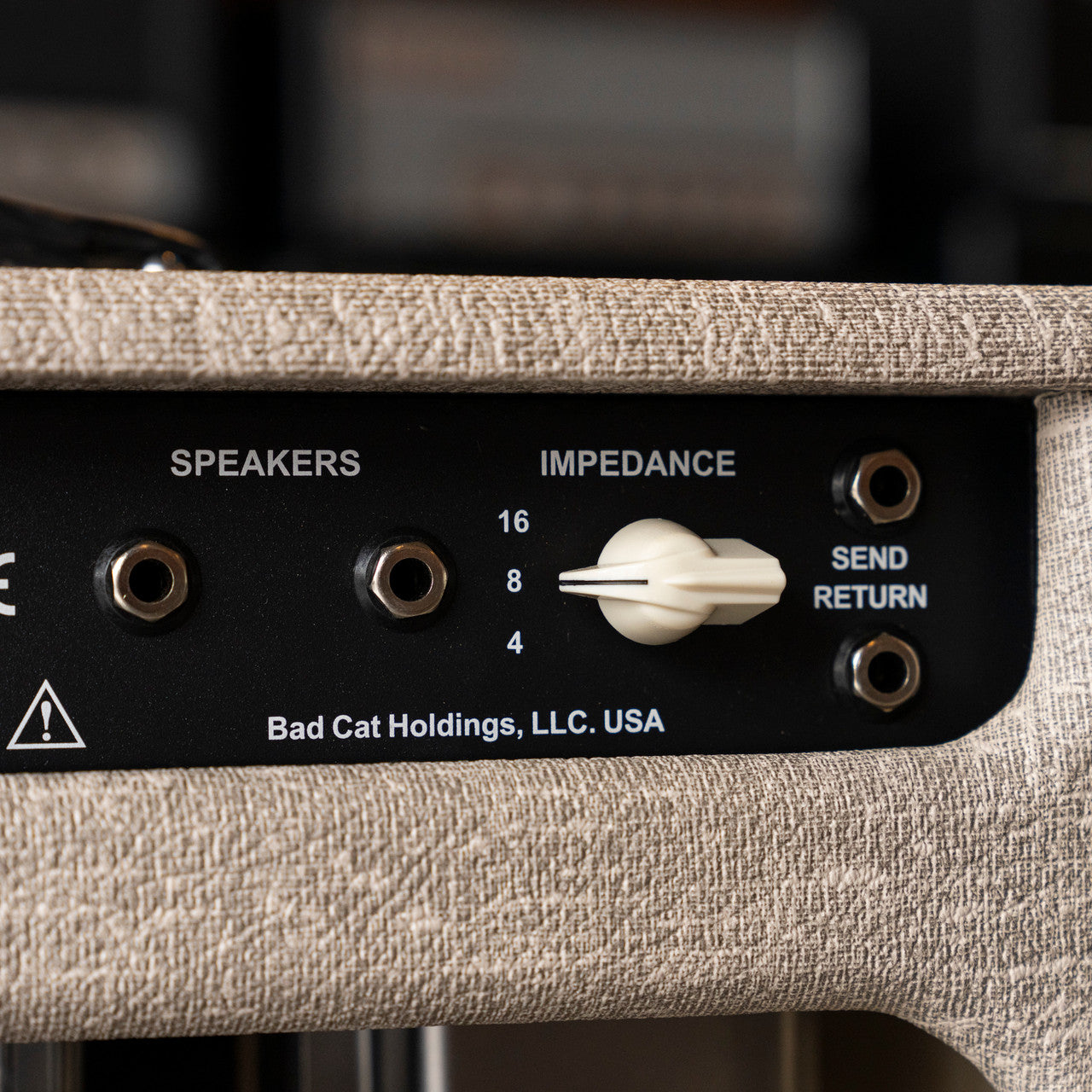 Bad Cat Cub IV 15R Tube Amp Head and Matching 1x12" Cabinet - Custom Tolex (2022)