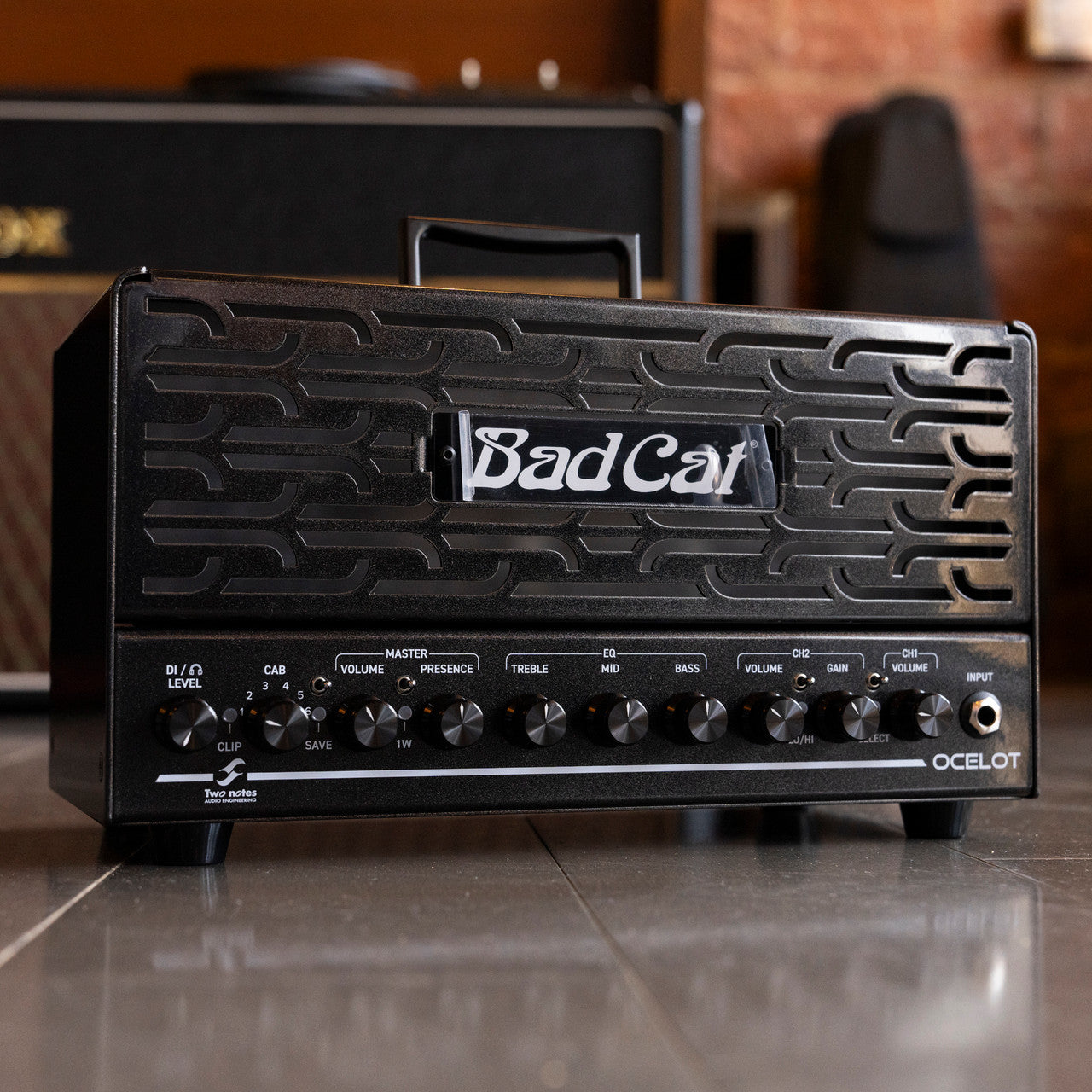 Bad Cat Ocelot Lunch Box Series Head