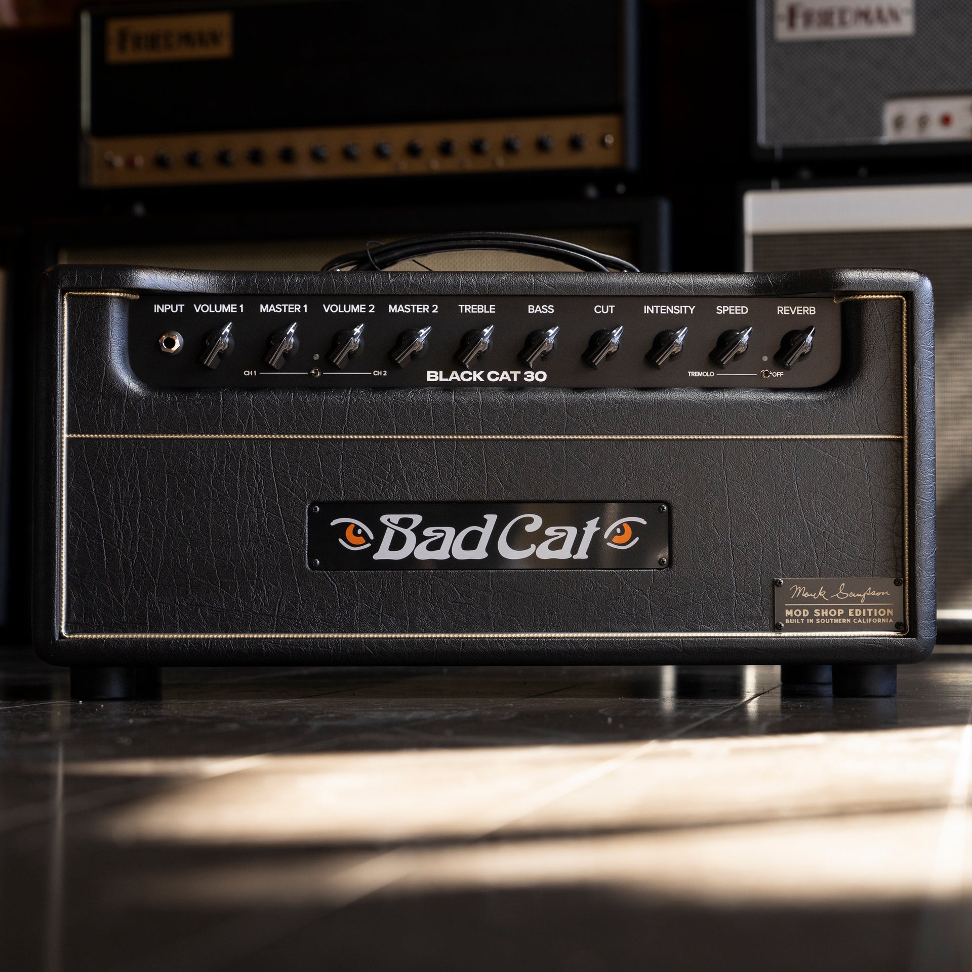 Bad Cat Mod Shop Black Cat 30W Guitar Amp Head by Mark Sampson - Black