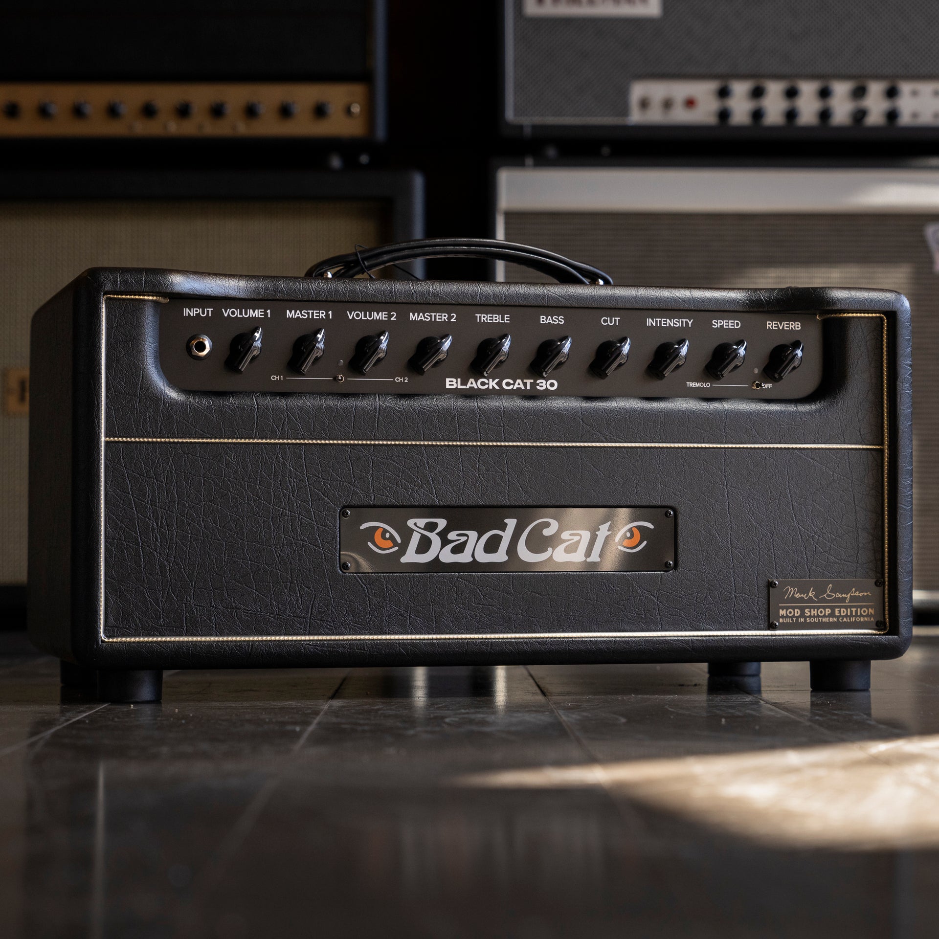 Bad Cat Mod Shop Black Cat 30W Guitar Amp Head by Mark Sampson - Black