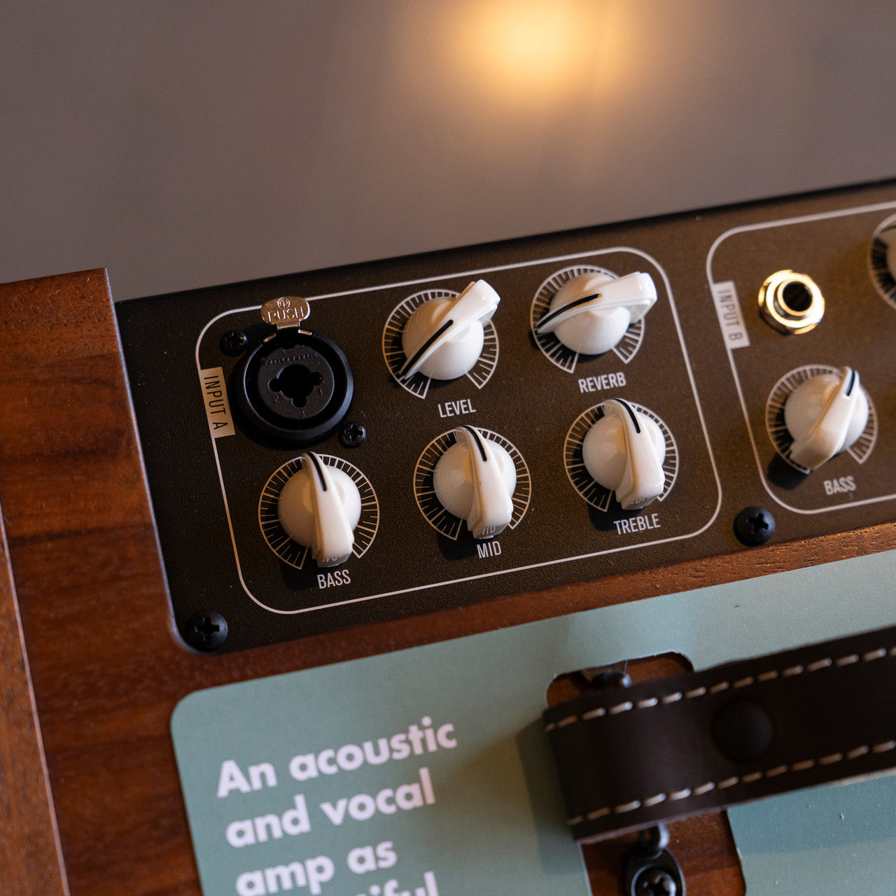 Taylor Circa 74 Acoustic Guitar Amplifier