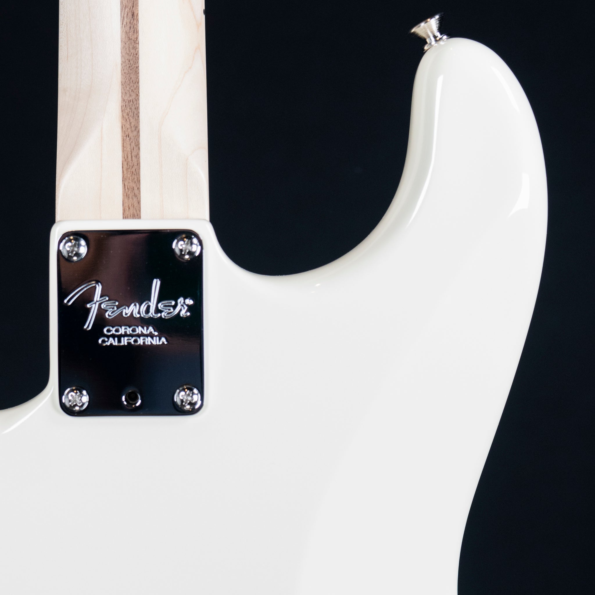 2025 Fender Eric Clapton Artist Stratocaster | Preowned