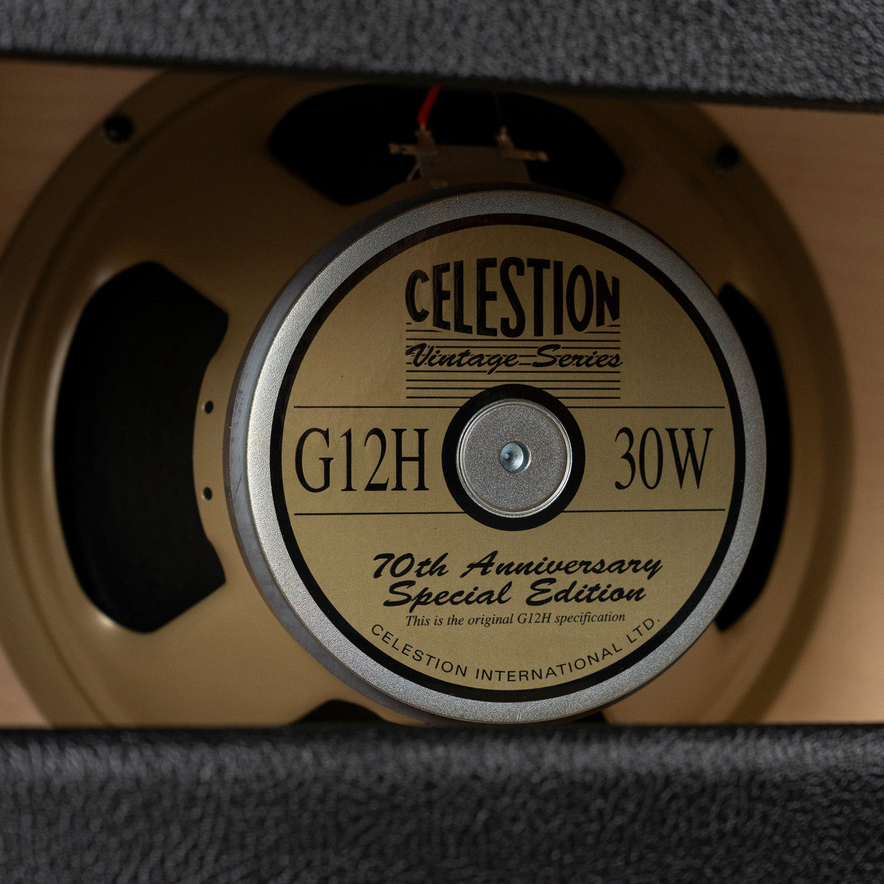 Divided By 13 1x12" Speaker Cabinet