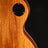 Gibson Les Paul Standard 50s - Goldtop Gibson