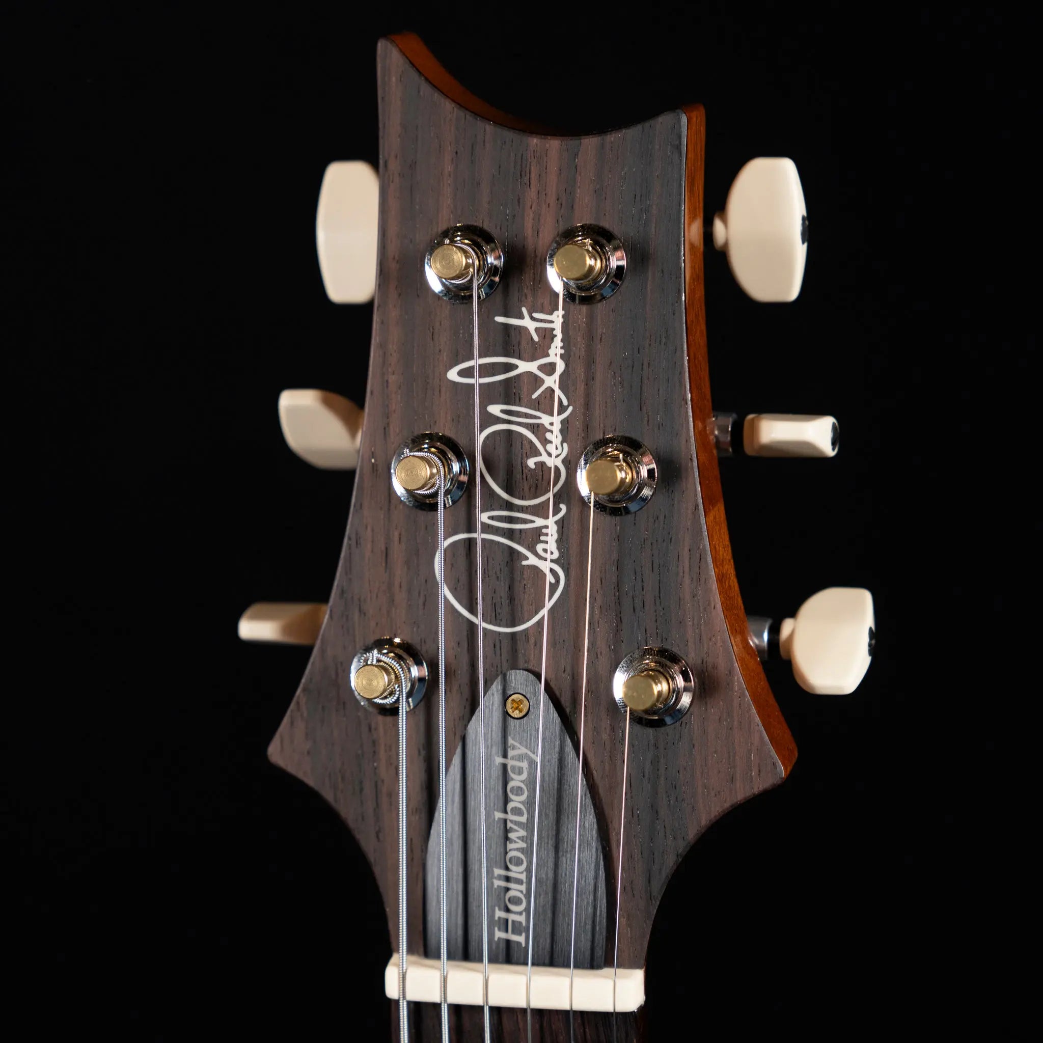 PRS Hollowbody II Piezo 10-Top Electric Guitar - Aurora Borealis - Midwood Guitar