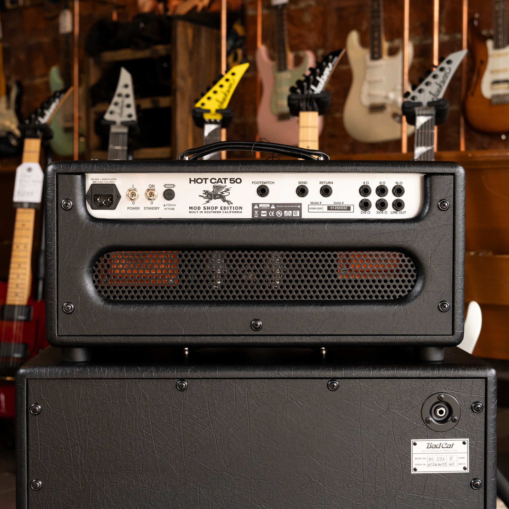 Bad Cat Mod Shop Hot Cat 50 Tube Amplifier Head - Midwood Guitar