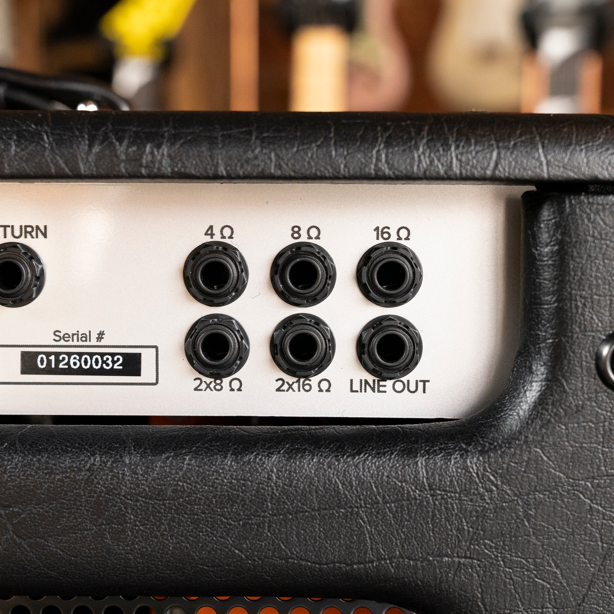 Bad Cat Mod Shop Hot Cat 50 Tube Amplifier Head - Midwood Guitar