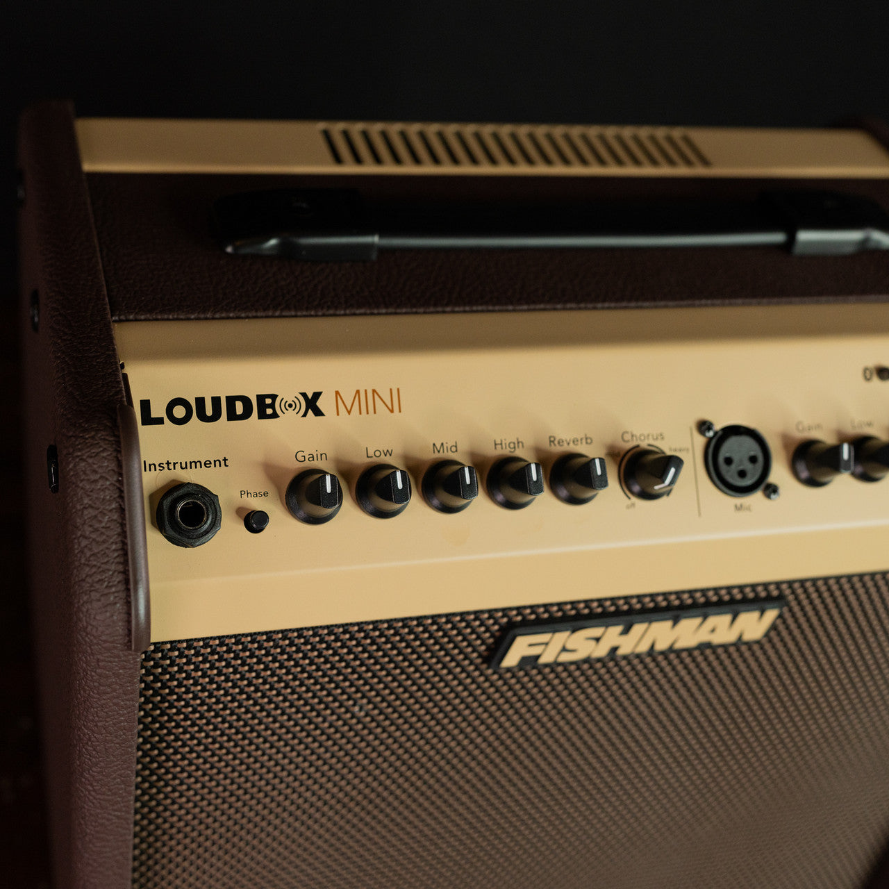 Fishman Loudbox Mini
