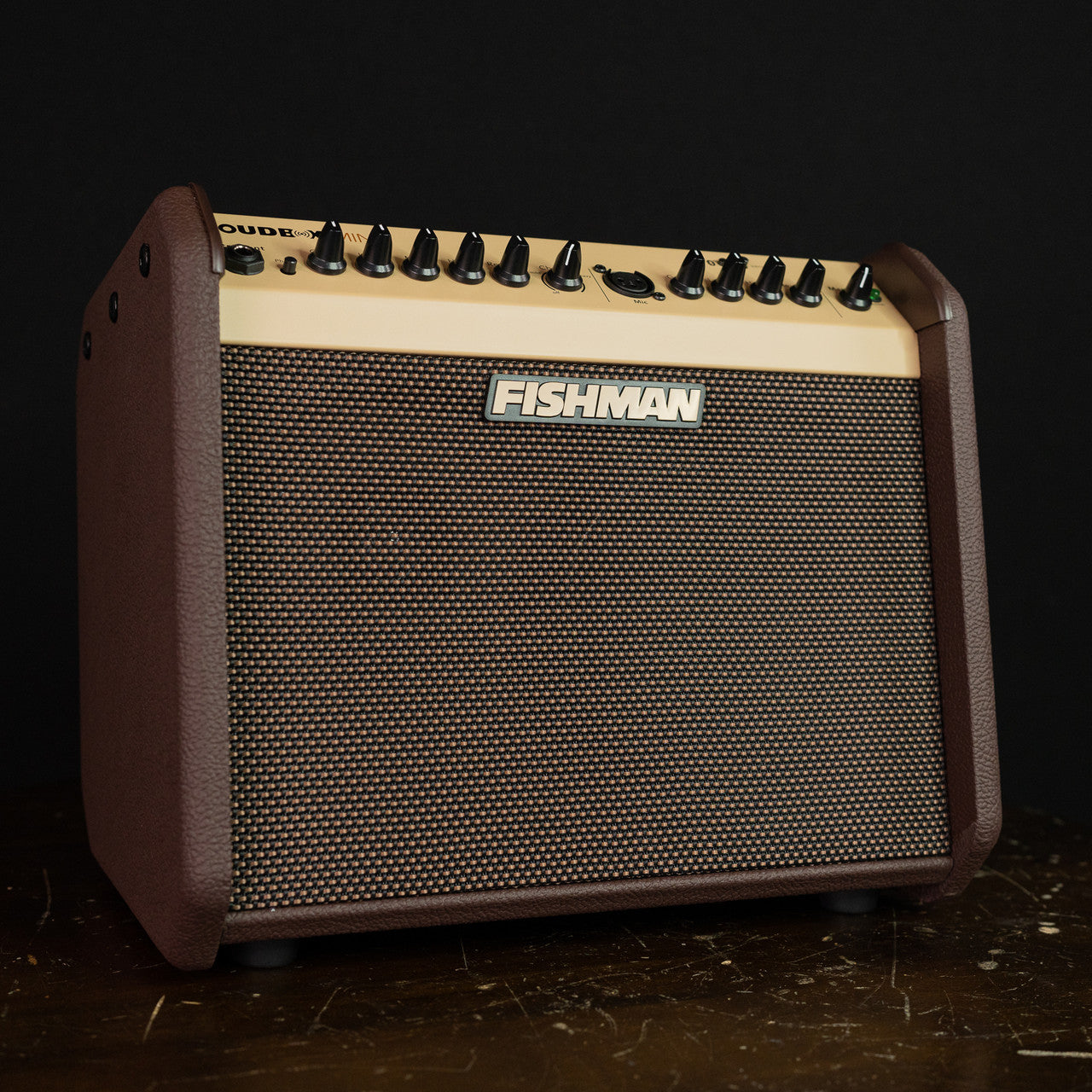 Fishman Loudbox Mini
