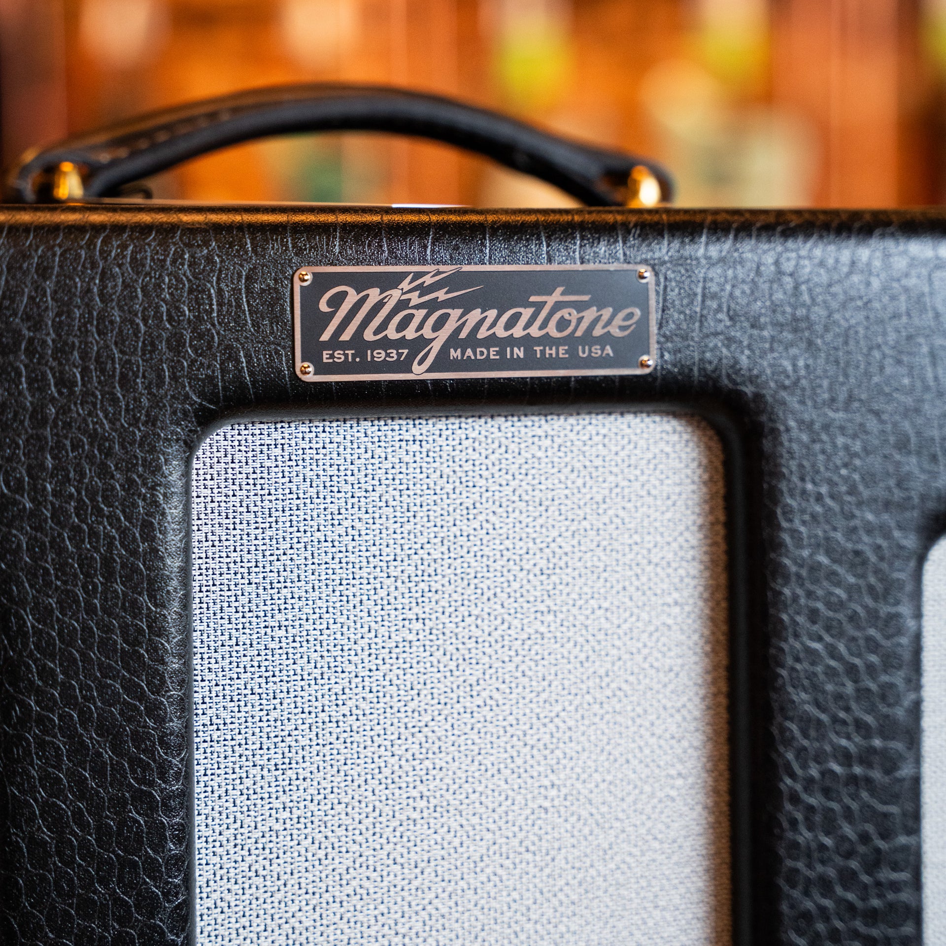 Magnatone Varsity Reverb Point to Point Amplifier