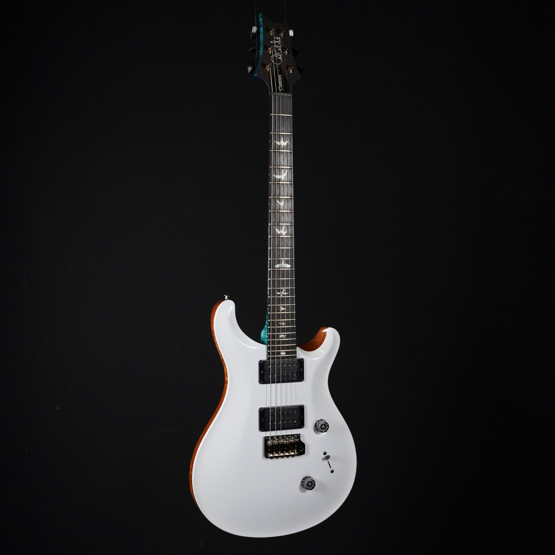 2025 PRS Custom 24 Artist Model Electric Guitar – Custom Finish