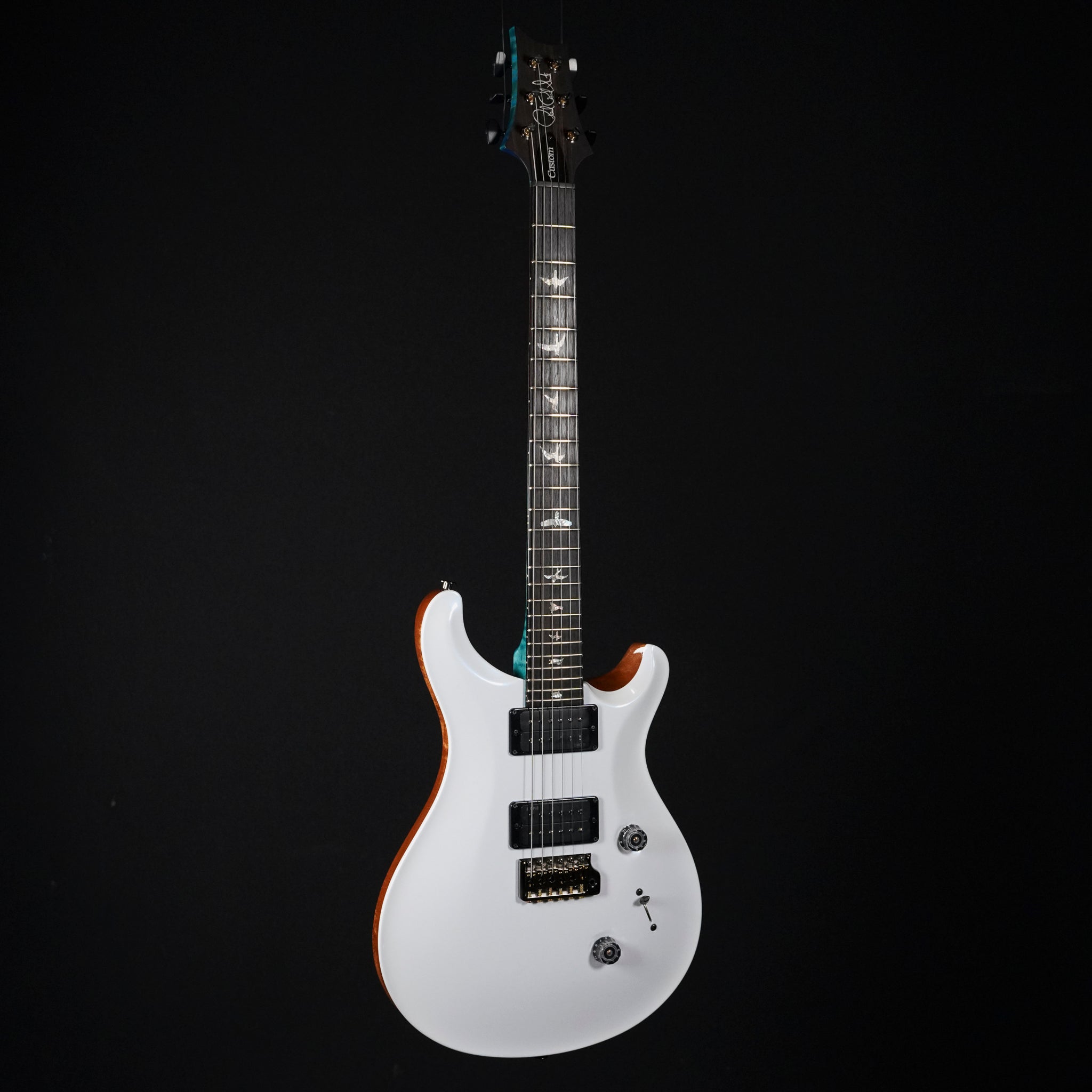 2025 PRS Custom 24 Artist Model Electric Guitar – Custom Finish - Midwood Guitar