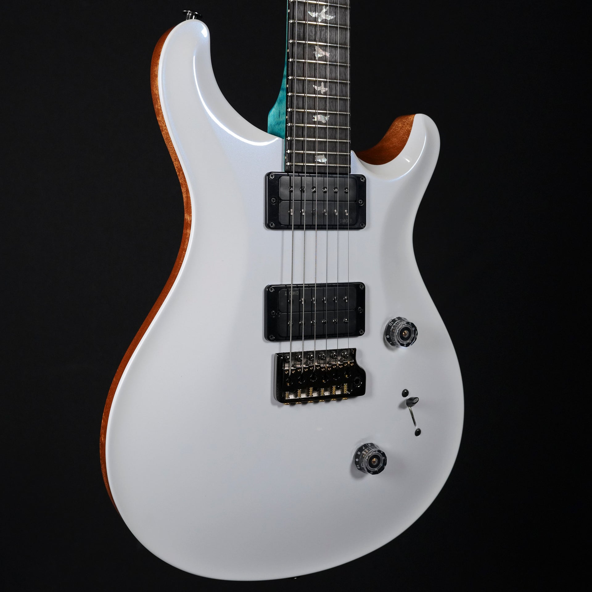 2025 PRS Custom 24 Artist Model Electric Guitar – Custom Finish