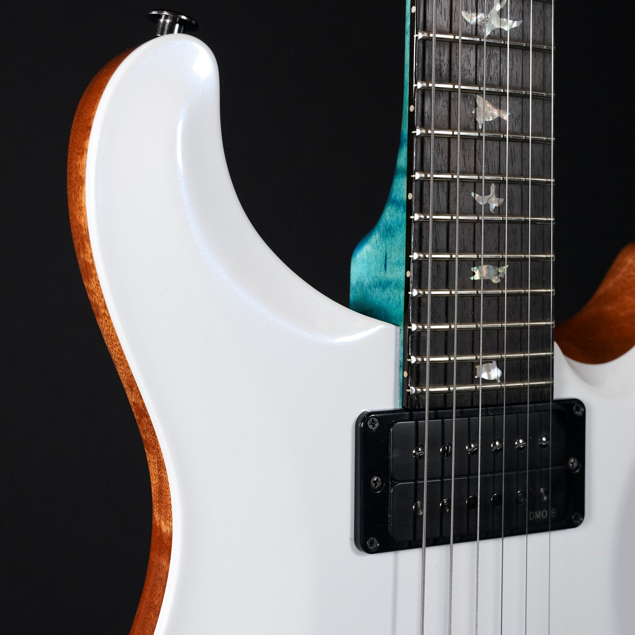 2025 PRS Custom 24 Artist Model Electric Guitar – Custom Finish - Midwood Guitar