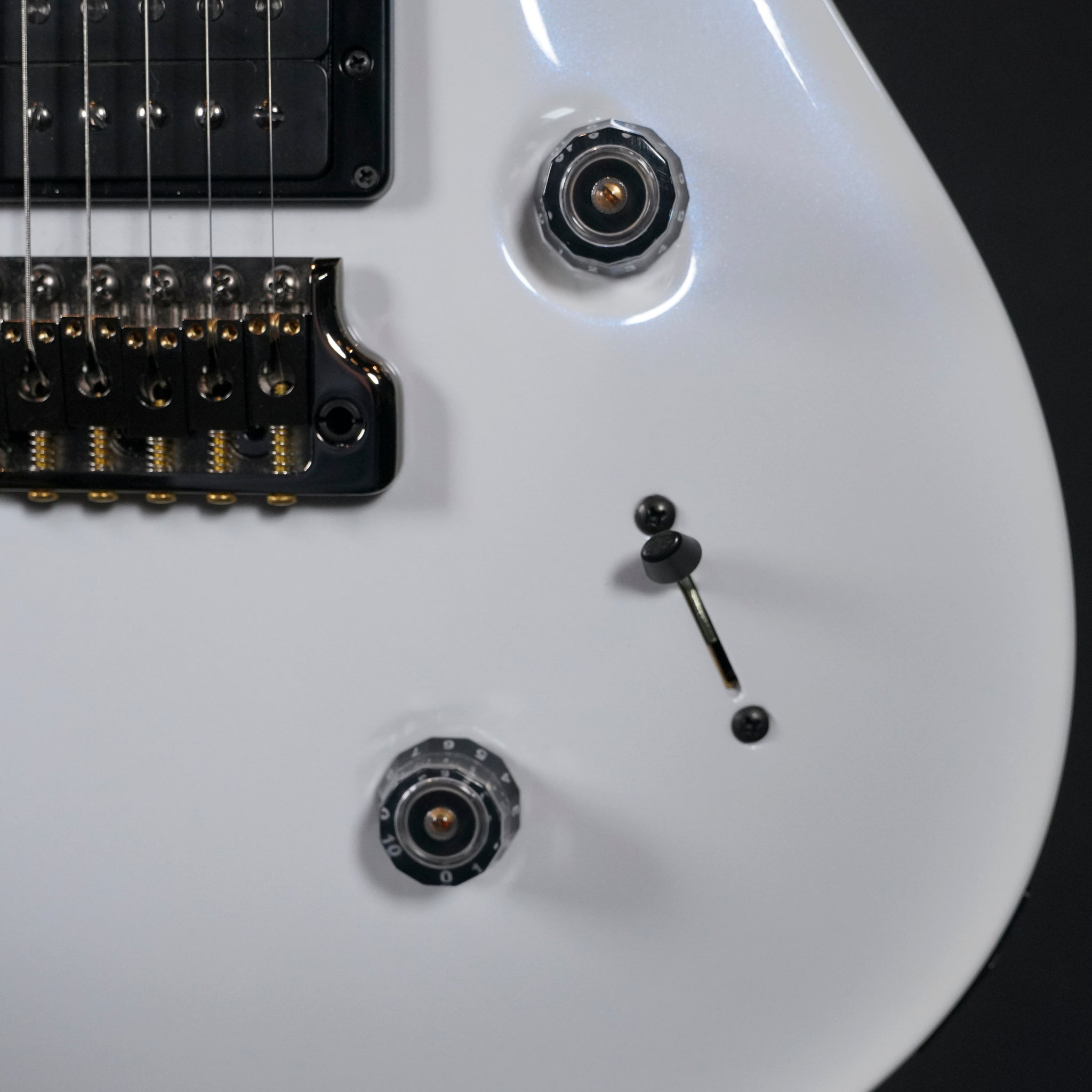2025 PRS Custom 24 Artist Model Electric Guitar – Custom Finish - Midwood Guitar