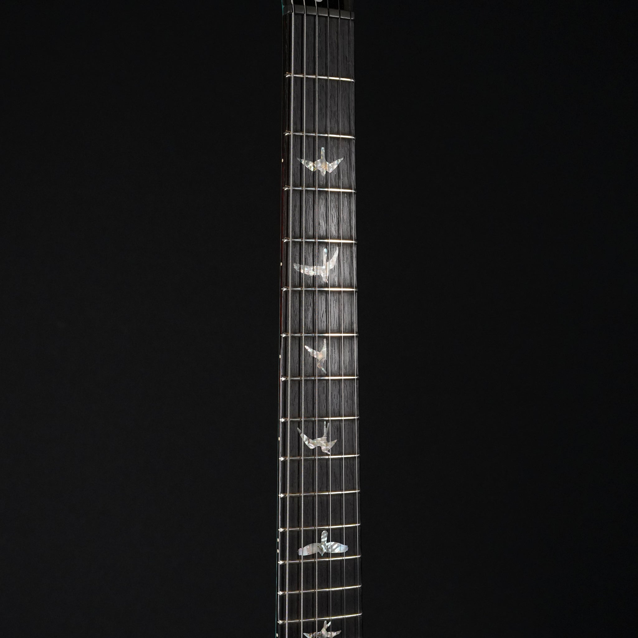 2025 PRS Custom 24 Artist Model Electric Guitar – Custom Finish - Midwood Guitar