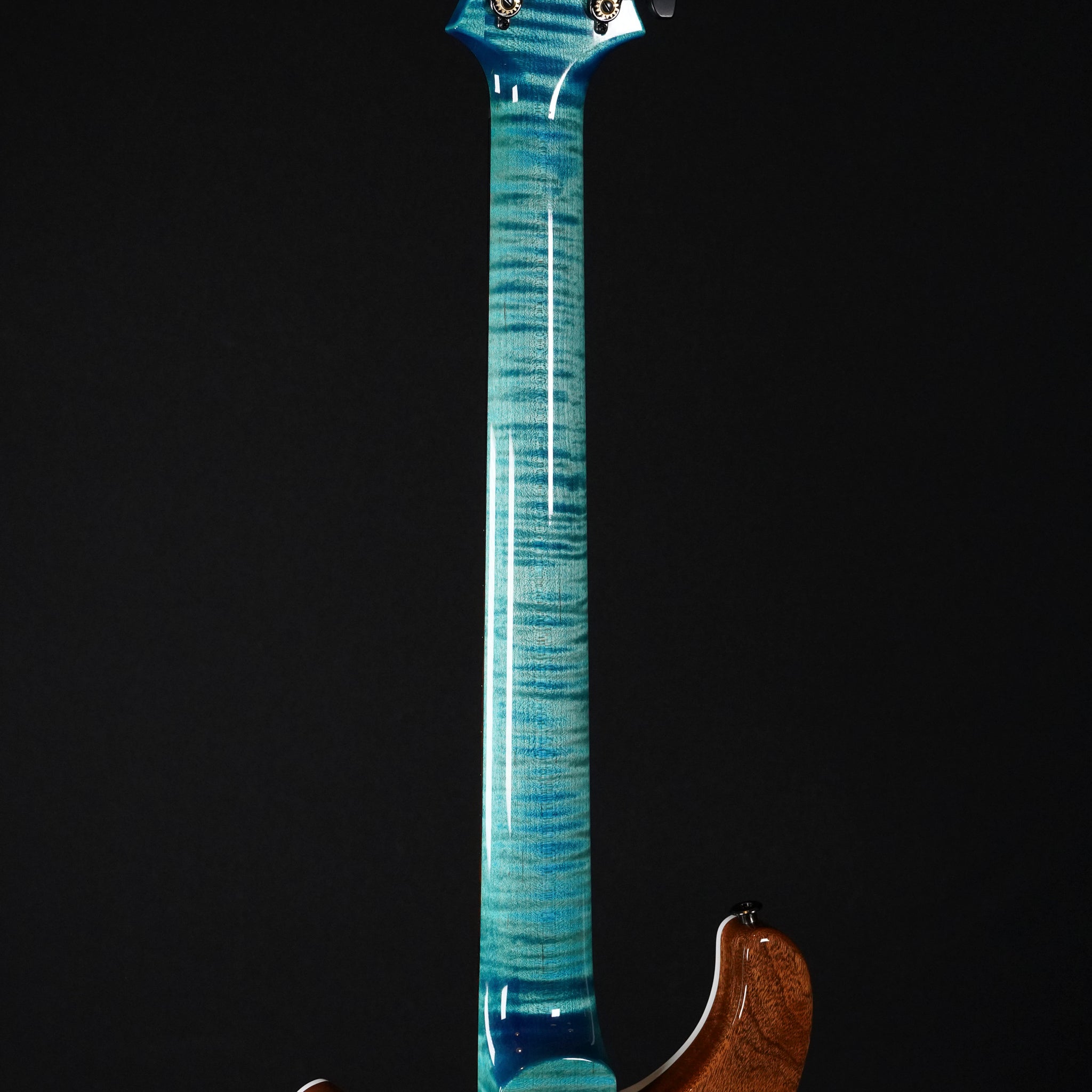 2025 PRS Custom 24 Artist Model Electric Guitar – Custom Finish - Midwood Guitar