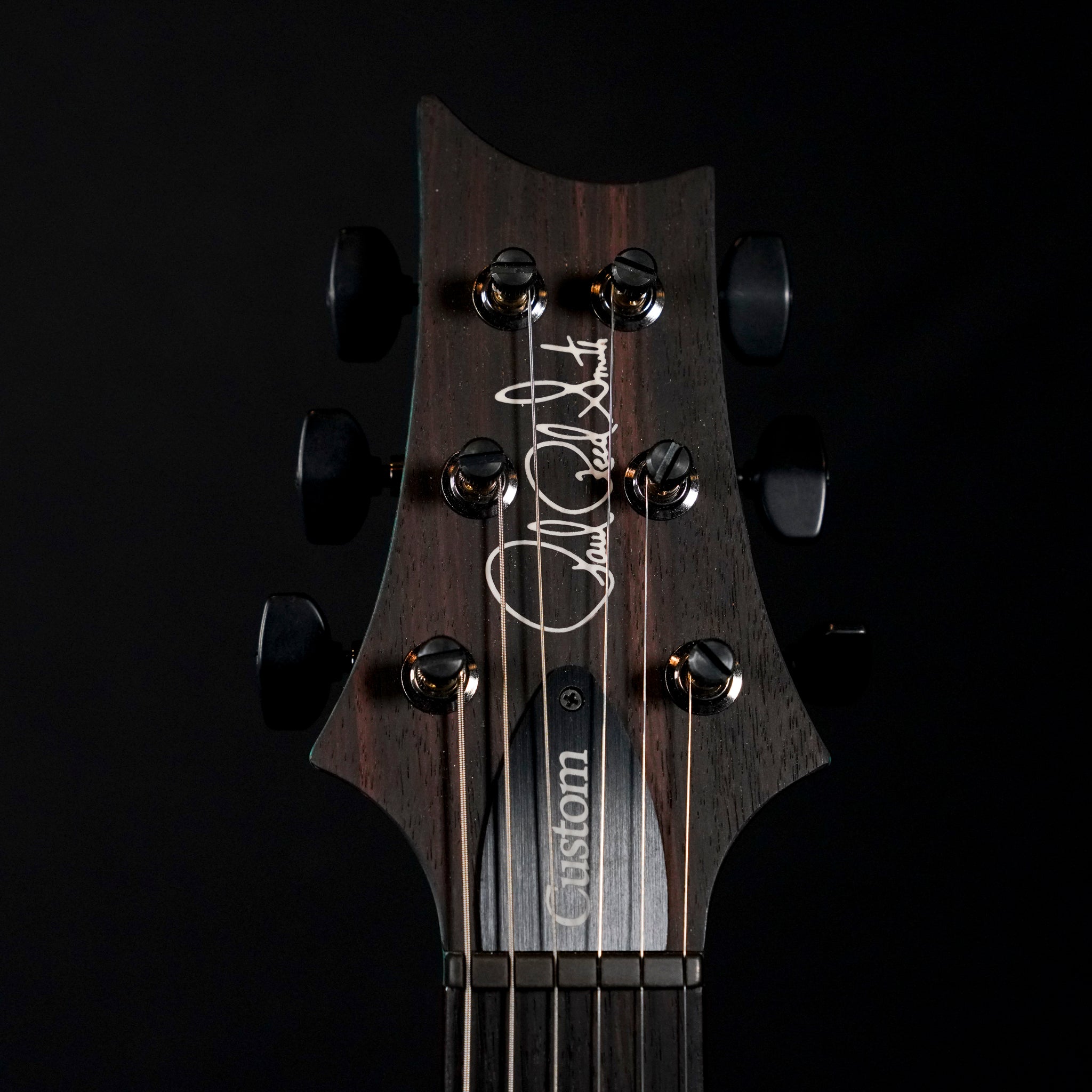 2025 PRS Custom 24 Artist Model Electric Guitar – Custom Finish - Midwood Guitar