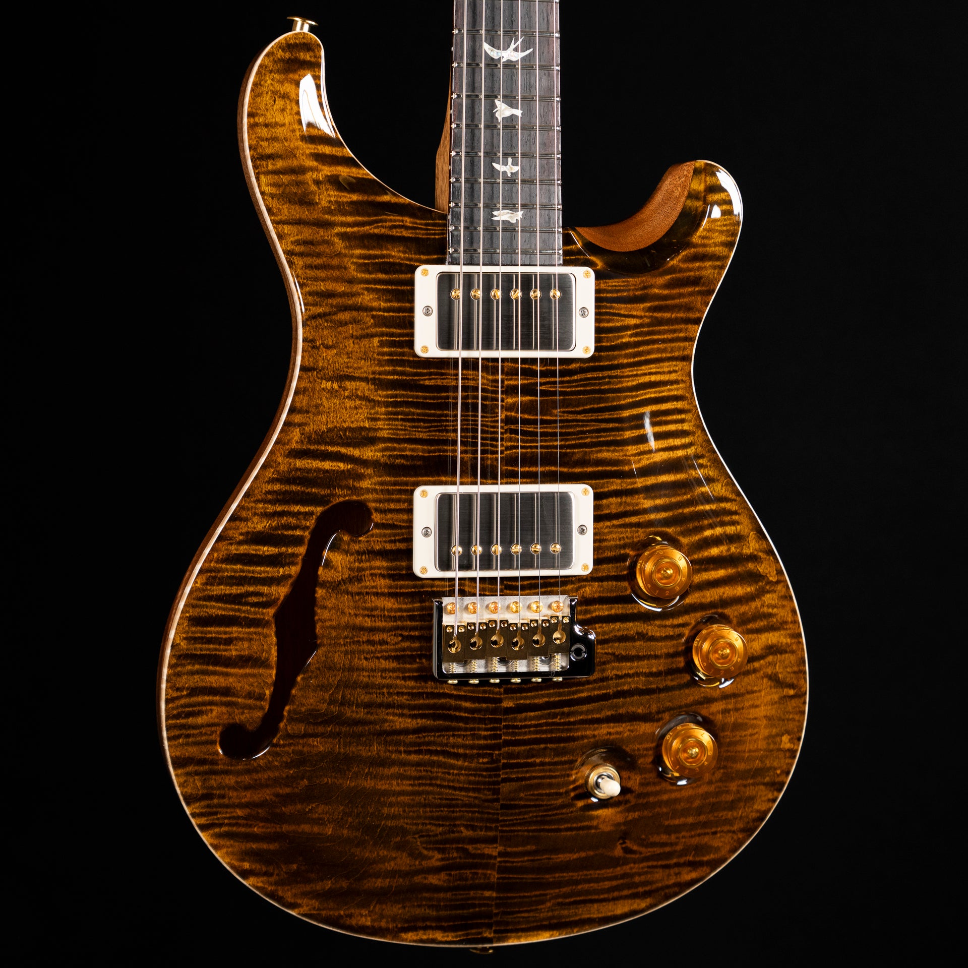 PRS DGT Semi-Hollow 10-Top Electric Guitar with Bird Inlays - Tiger Eye