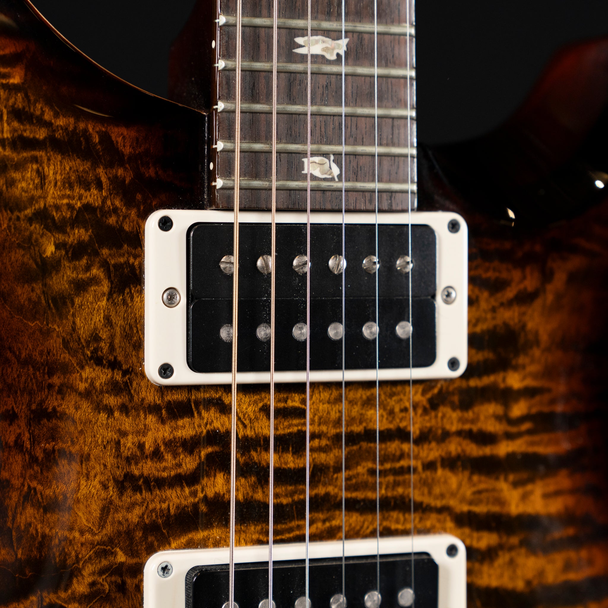 2019 PRS Custom 24 Piezo Electric Guitar - Black Gold - Midwood Guitar