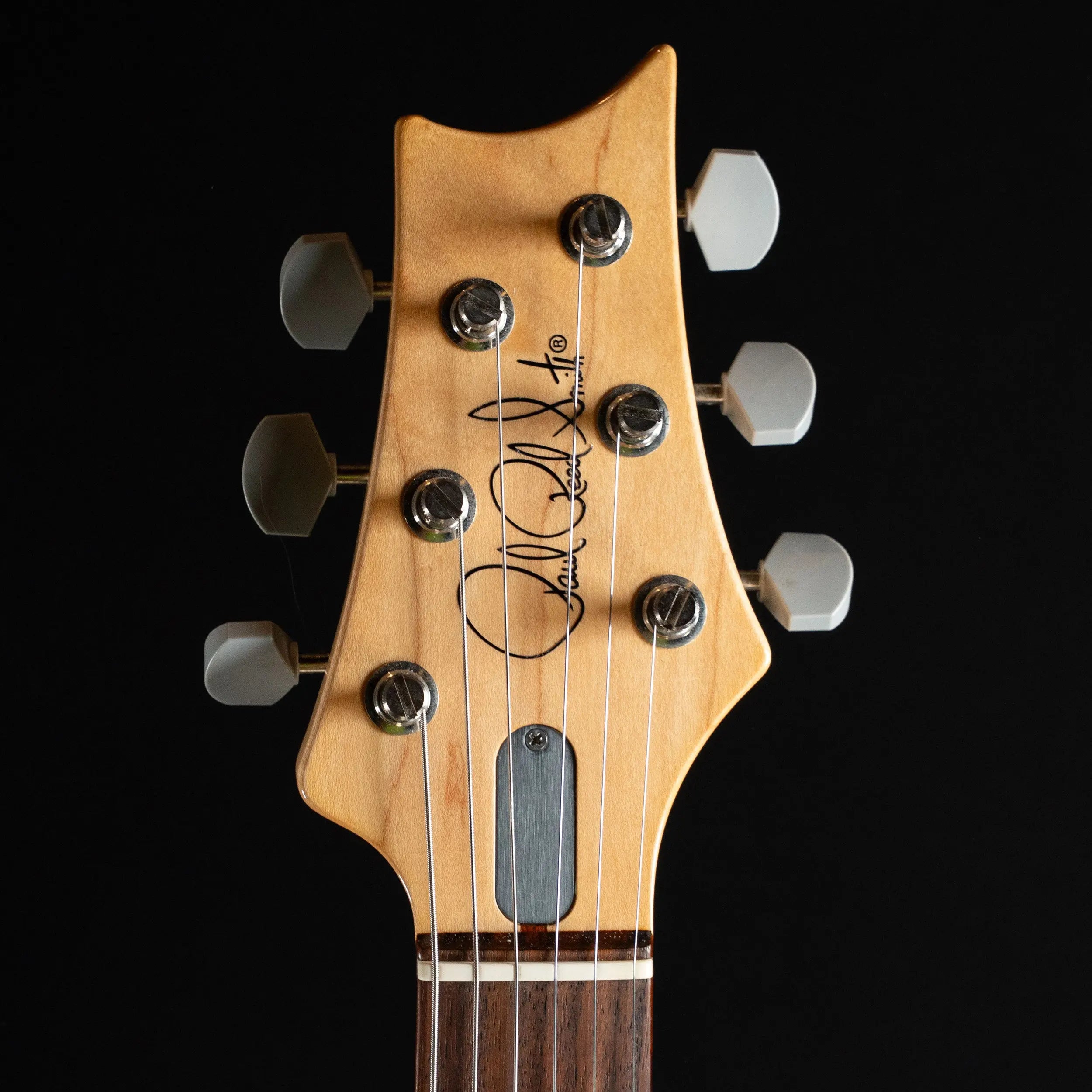 Preowned 2019 PRS Silver Sky - Tungsten PRS Guitars