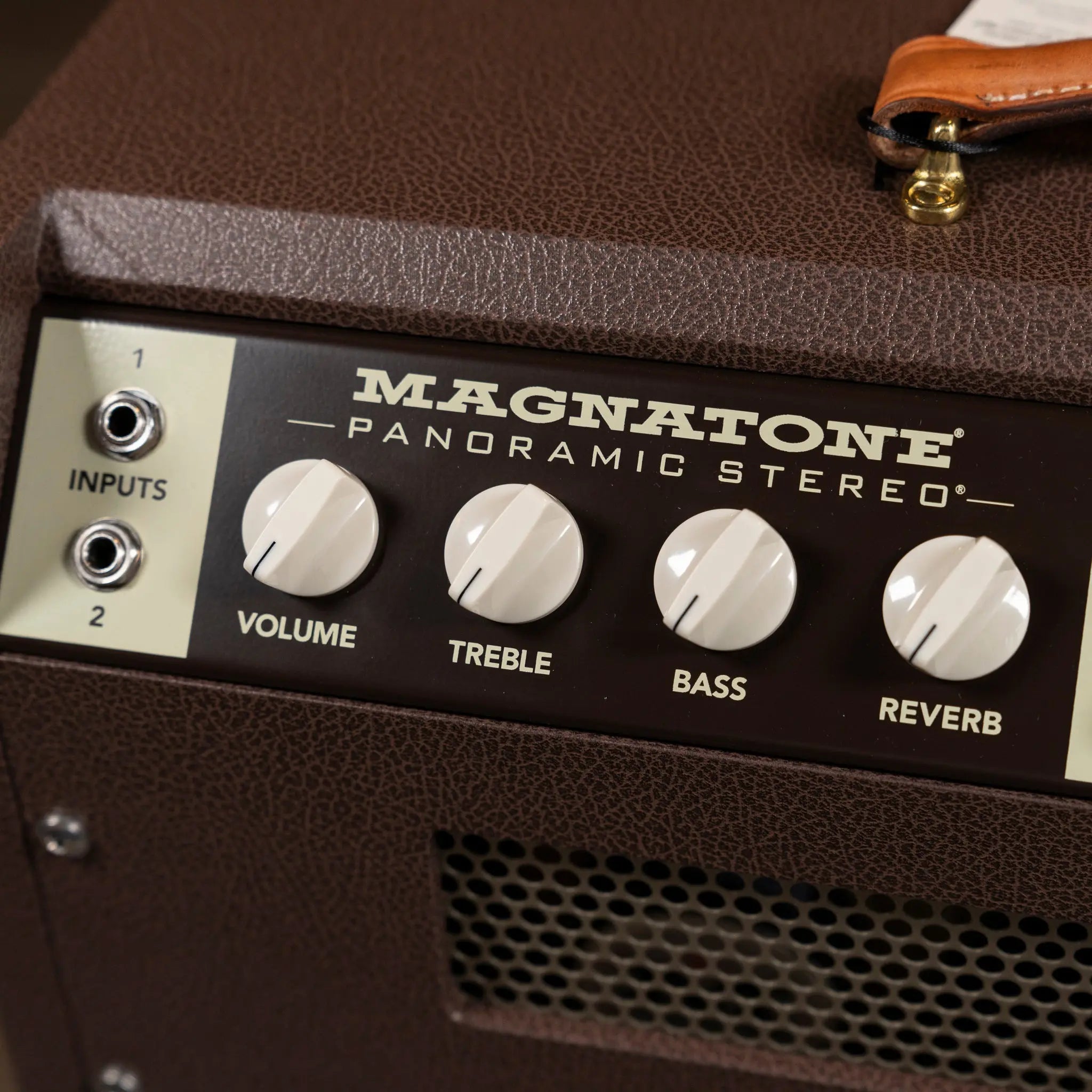 Magnatone Panoramic Stereo 2X10 Combo Amplifier - Traditional Brown Magnatone Amps