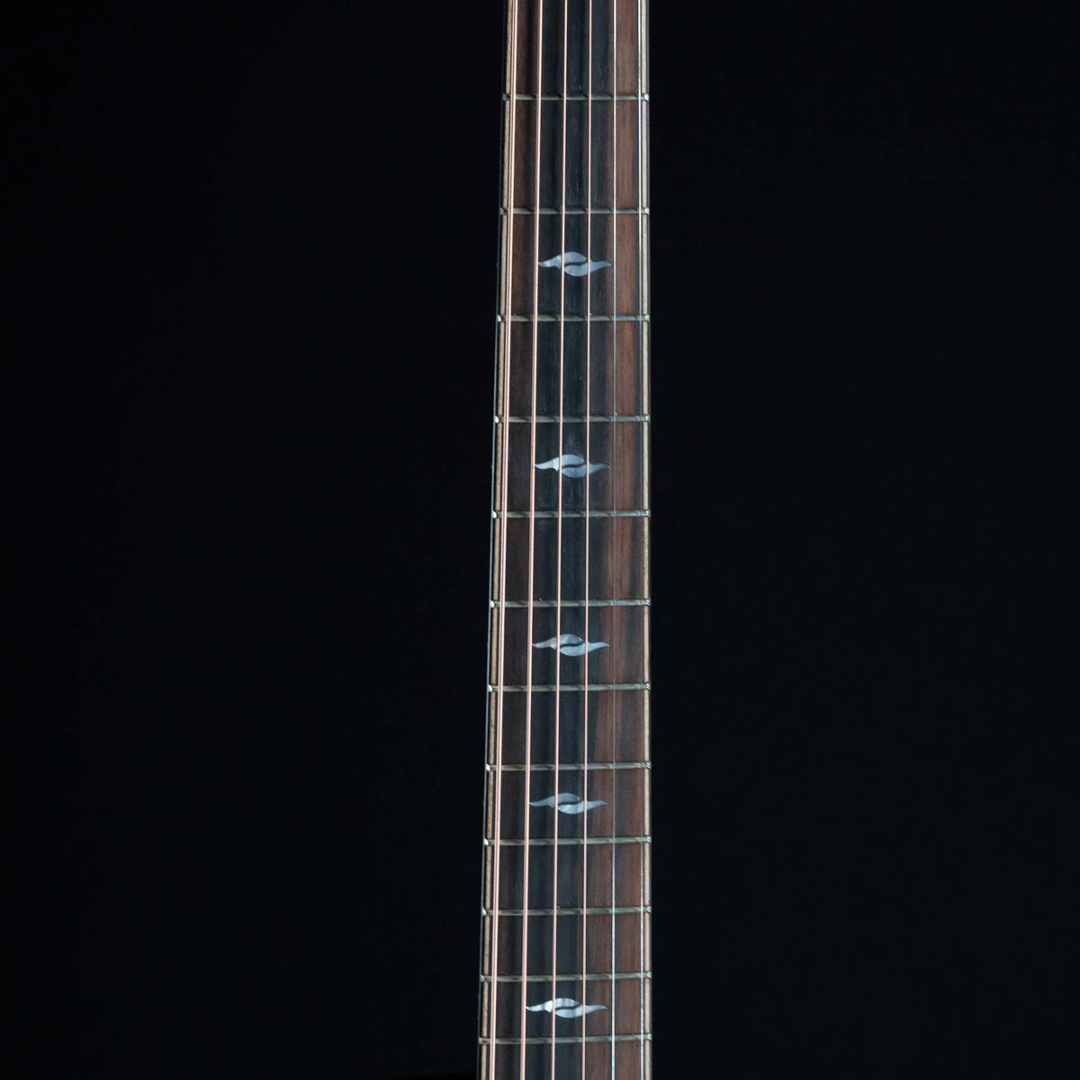 2023 Taylor Builder's Edition 814ce | Preowned - Midwood Guitar