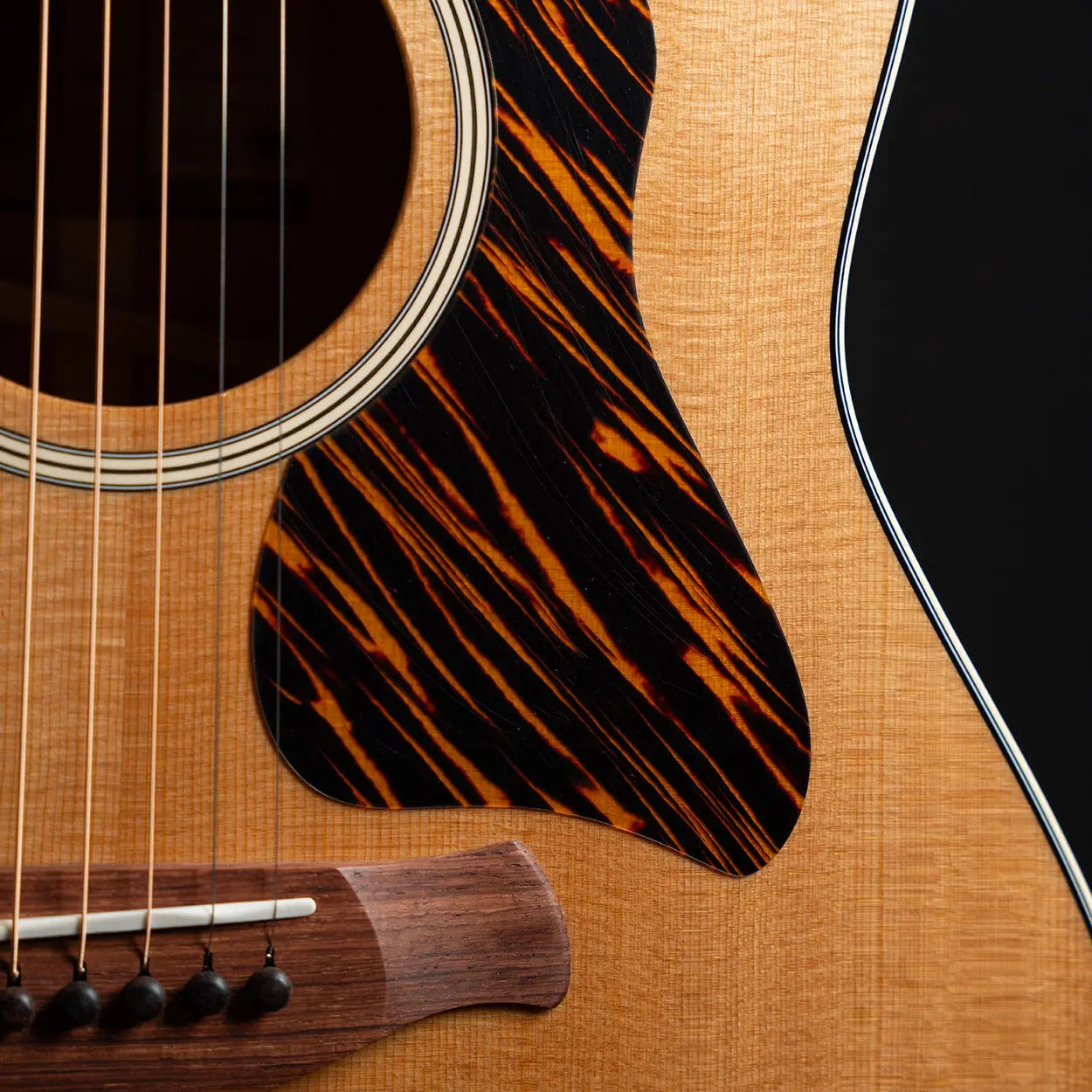 Taylor Gold Label 517e - Midwood Guitar