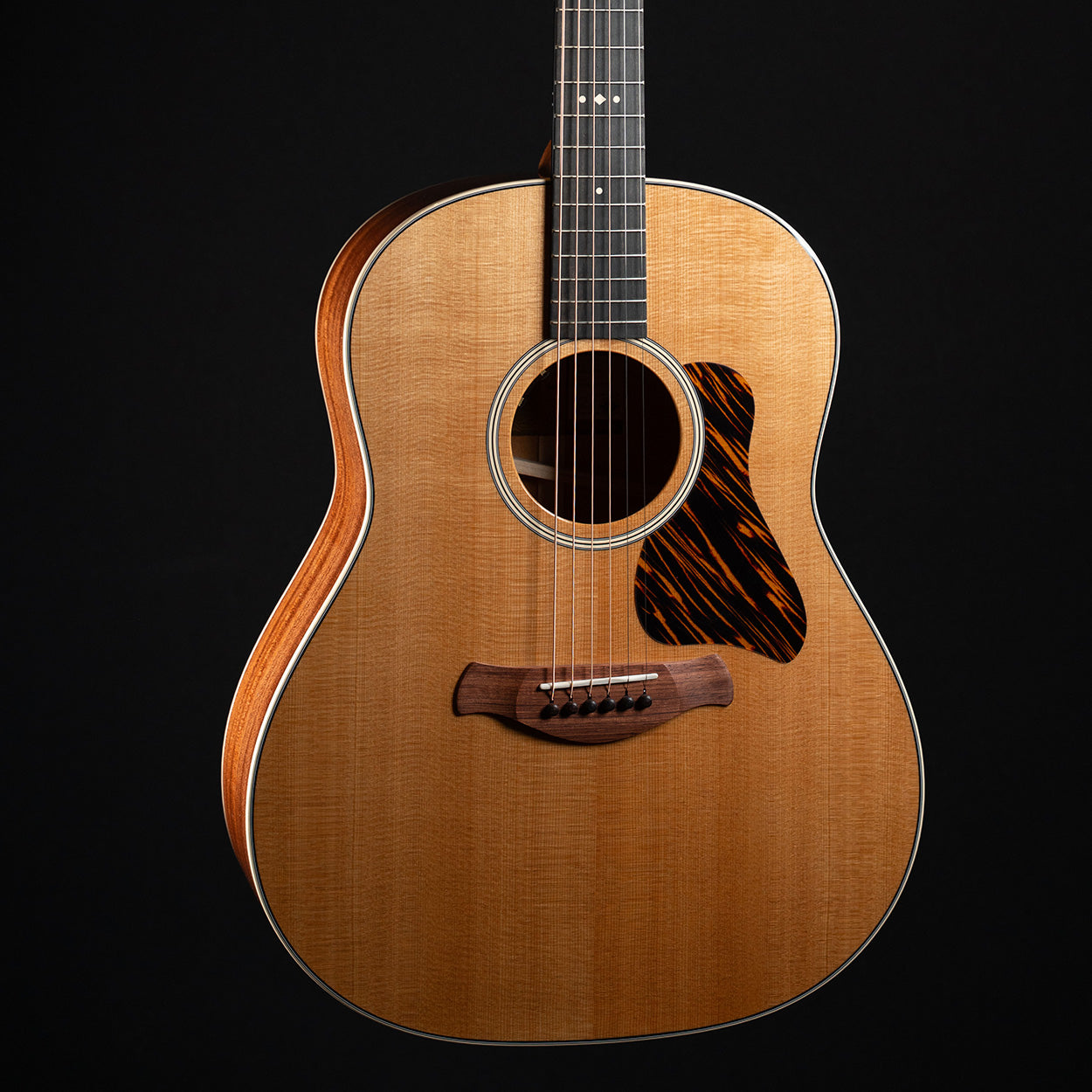 Taylor Gold Label 517e - Midwood Guitar