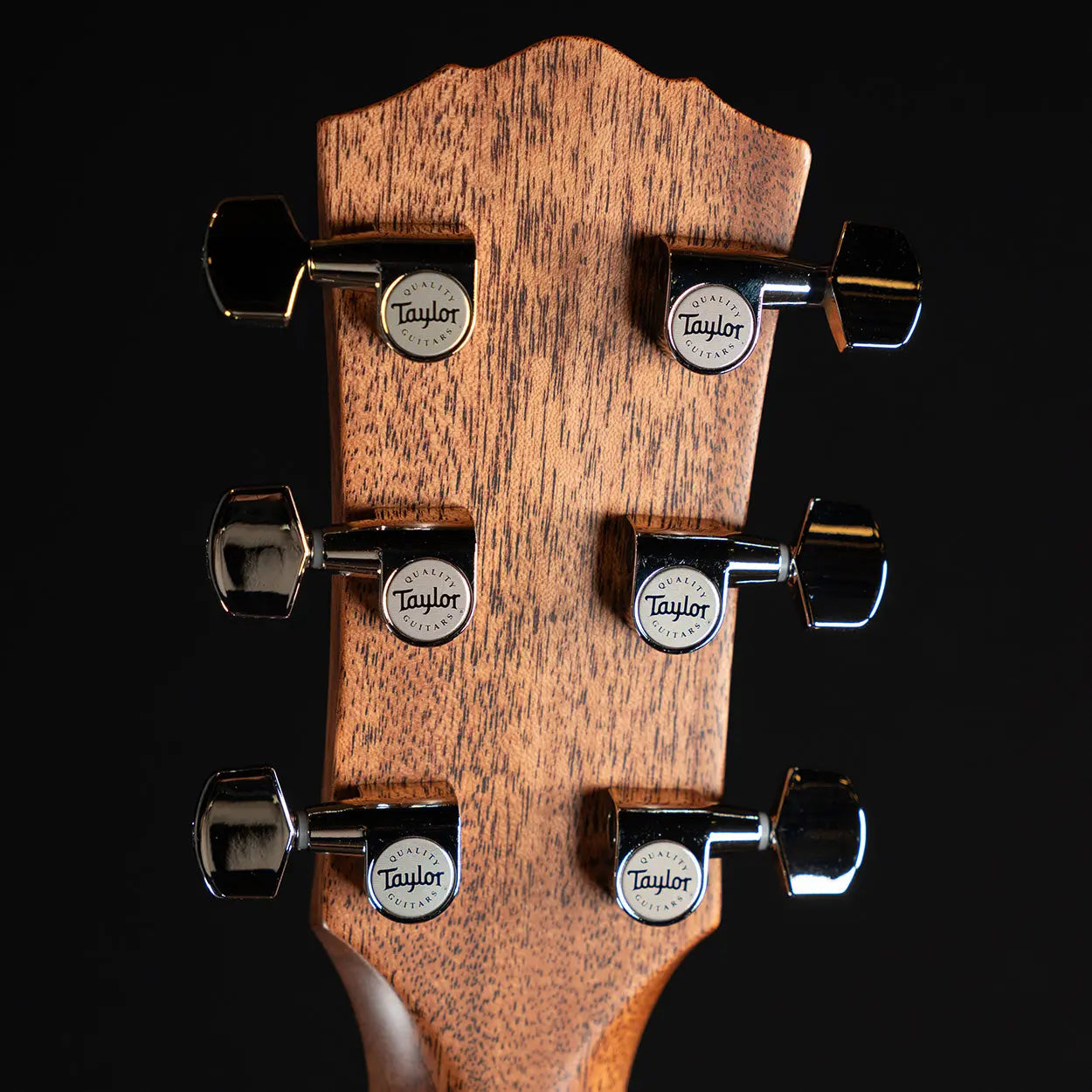 Taylor Gold Label 517e - Midwood Guitar