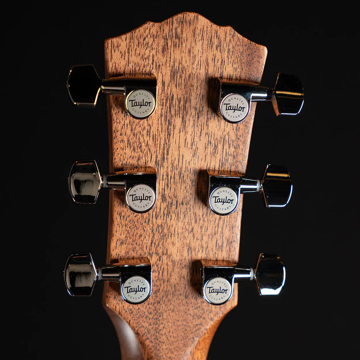 Taylor Gold Label 517e - Midwood Guitar