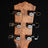Taylor Gold Label 517e - Midwood Guitar