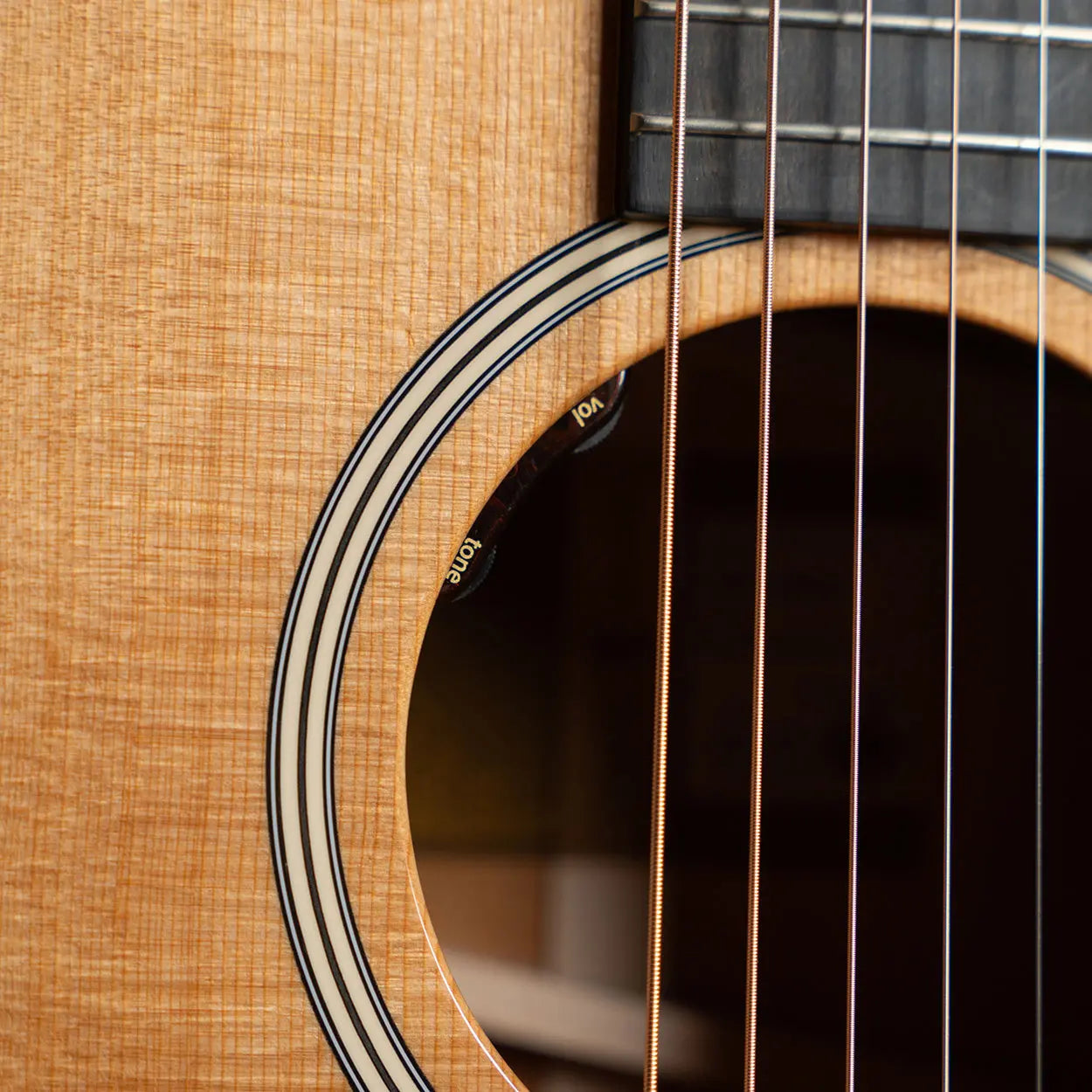 Taylor Gold Label 517e - Midwood Guitar