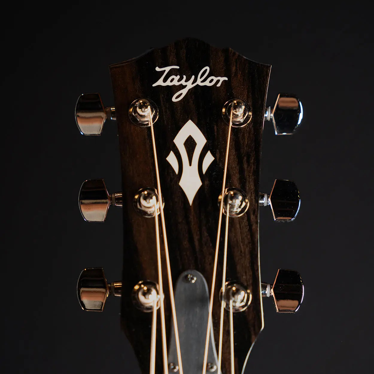 Taylor Gold Label 517e - Midwood Guitar