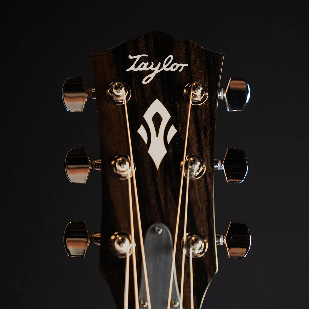 Taylor Gold Label 517e - Midwood Guitar