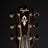 Taylor Gold Label 517e - Midwood Guitar