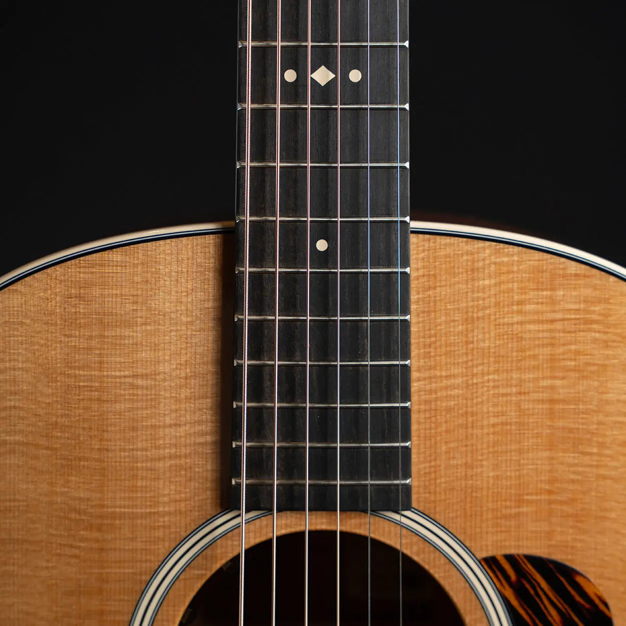 Taylor Gold Label 517e - Midwood Guitar