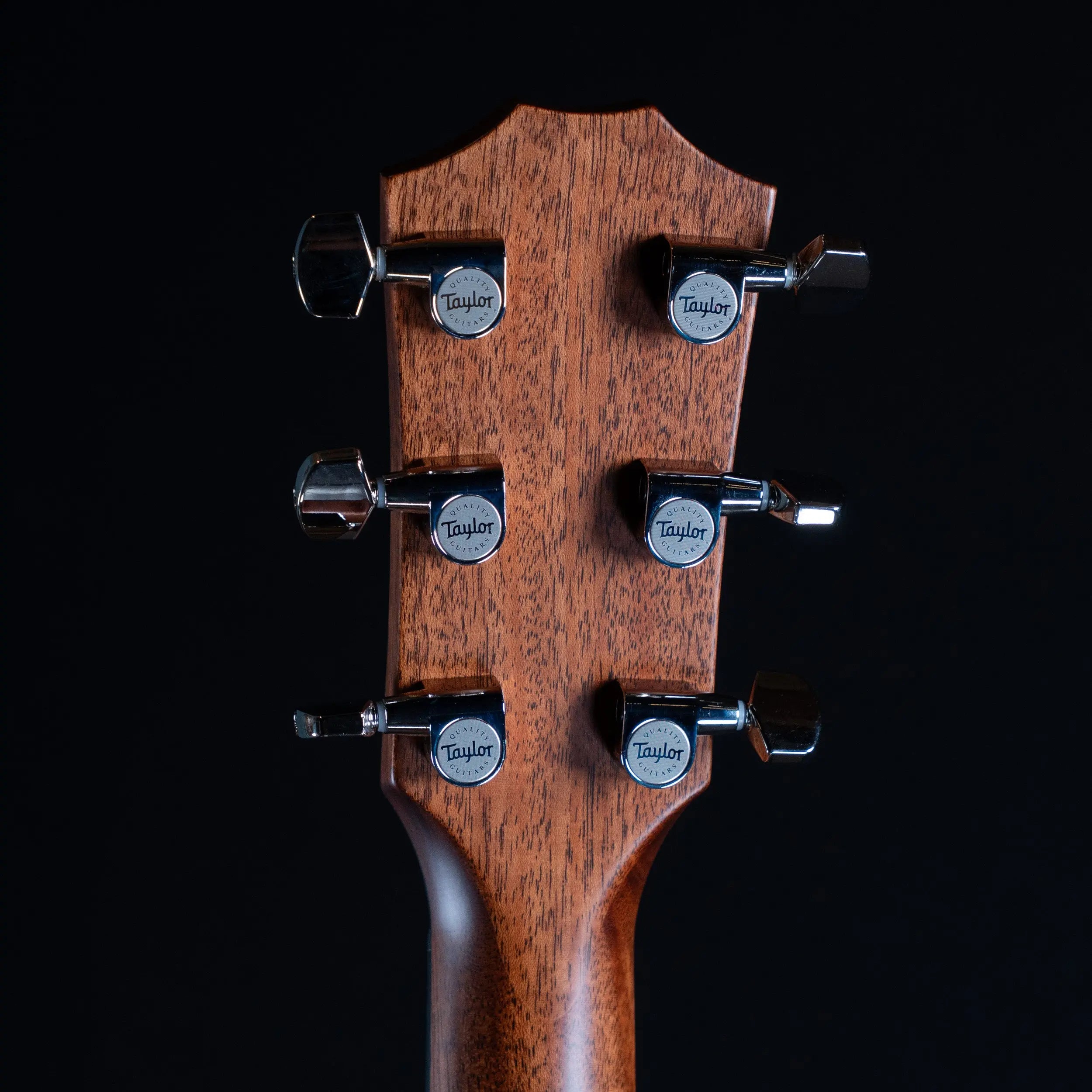 Taylor Next Generation 314ce Acoustic Guitar Taylor