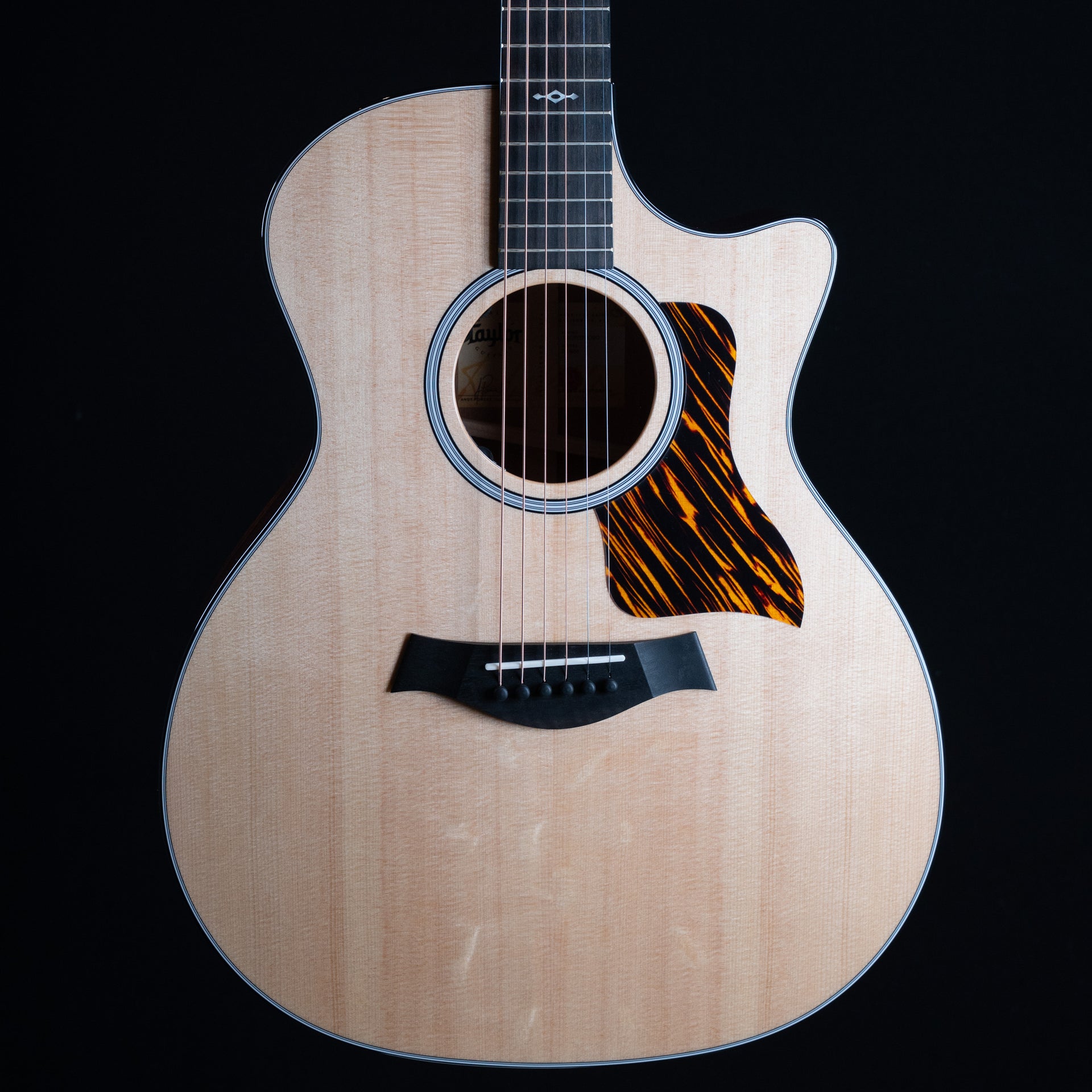 Taylor Next Generation 314ce Acoustic Guitar