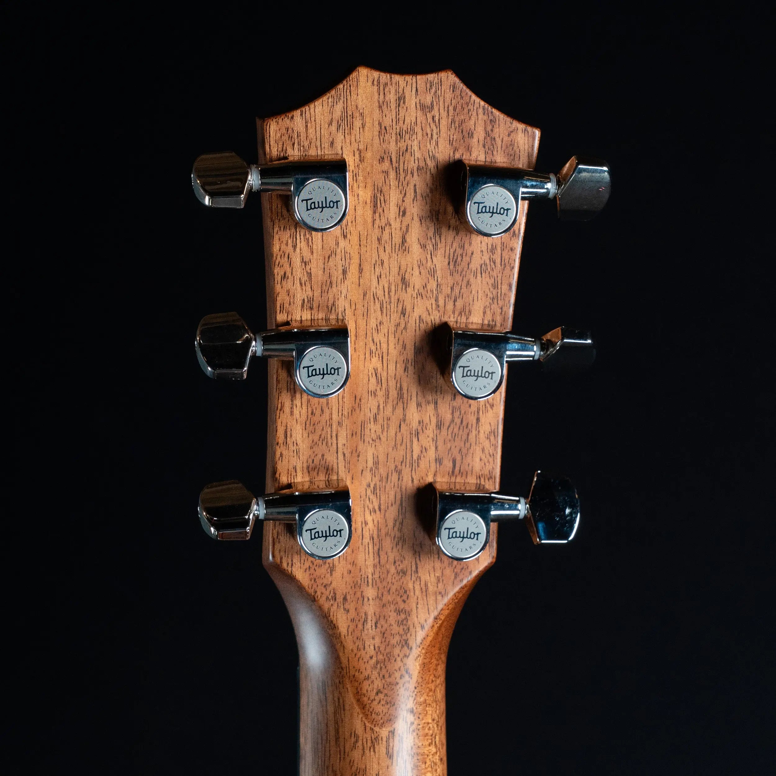 Taylor Next Generation 514ce Acoustic Guitar Taylor
