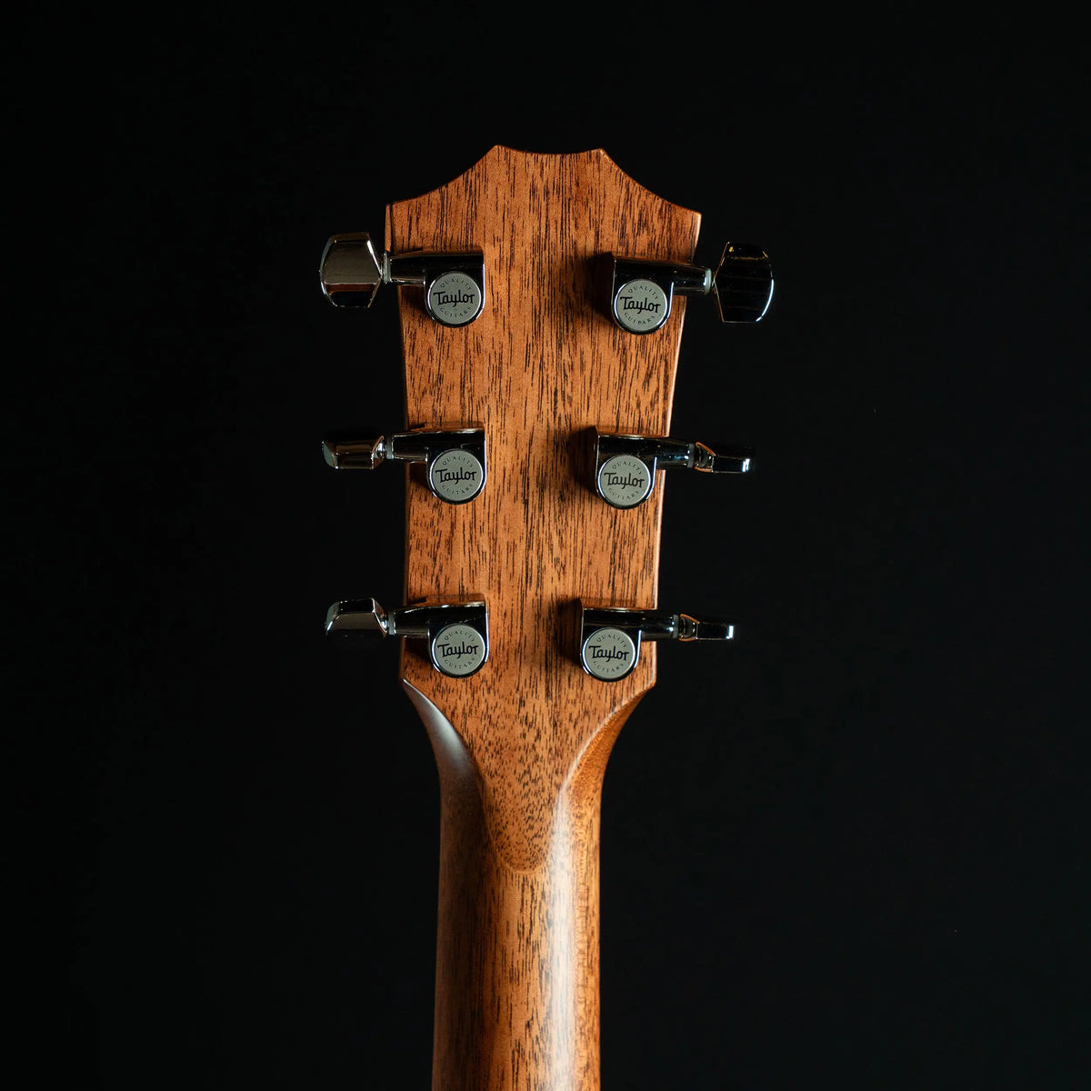 Taylor Next Generation 514ce Acoustic Guitar Midwood Guitar