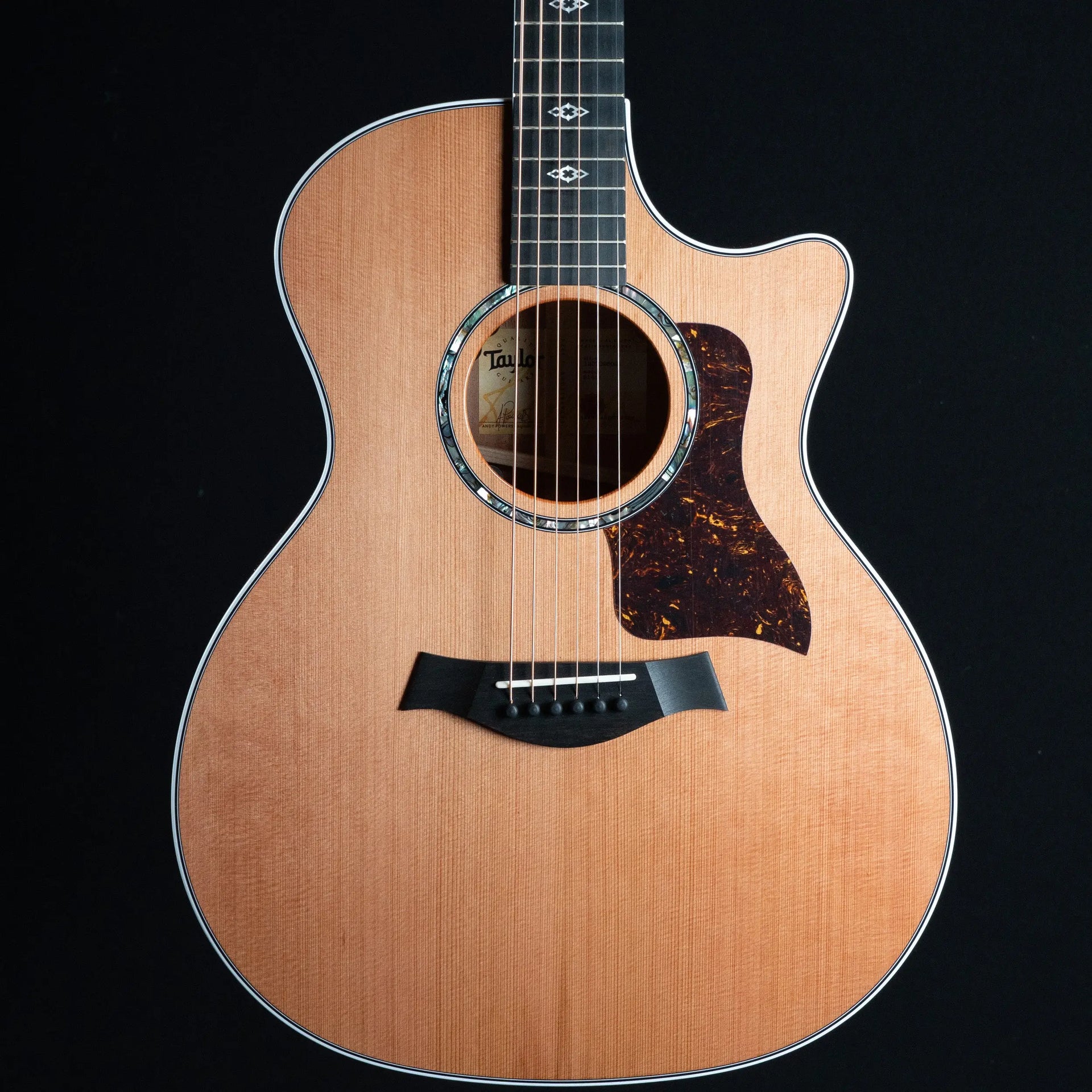Taylor Next Generation 514ce Acoustic Guitar