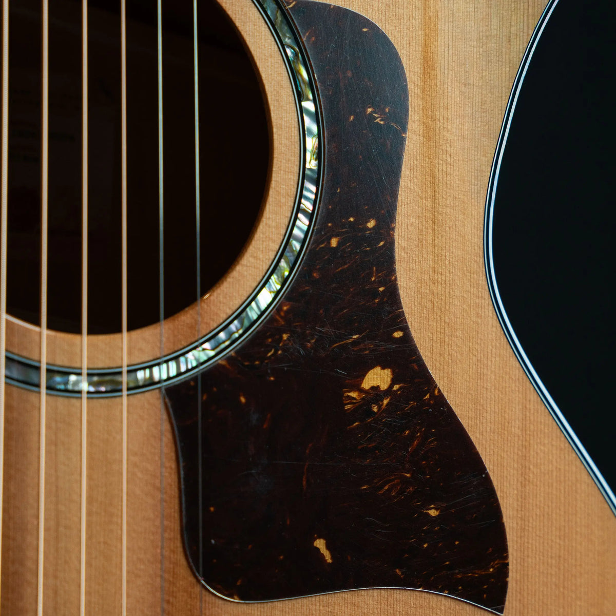 Taylor Next Generation 514ce Acoustic Guitar Midwood Guitar